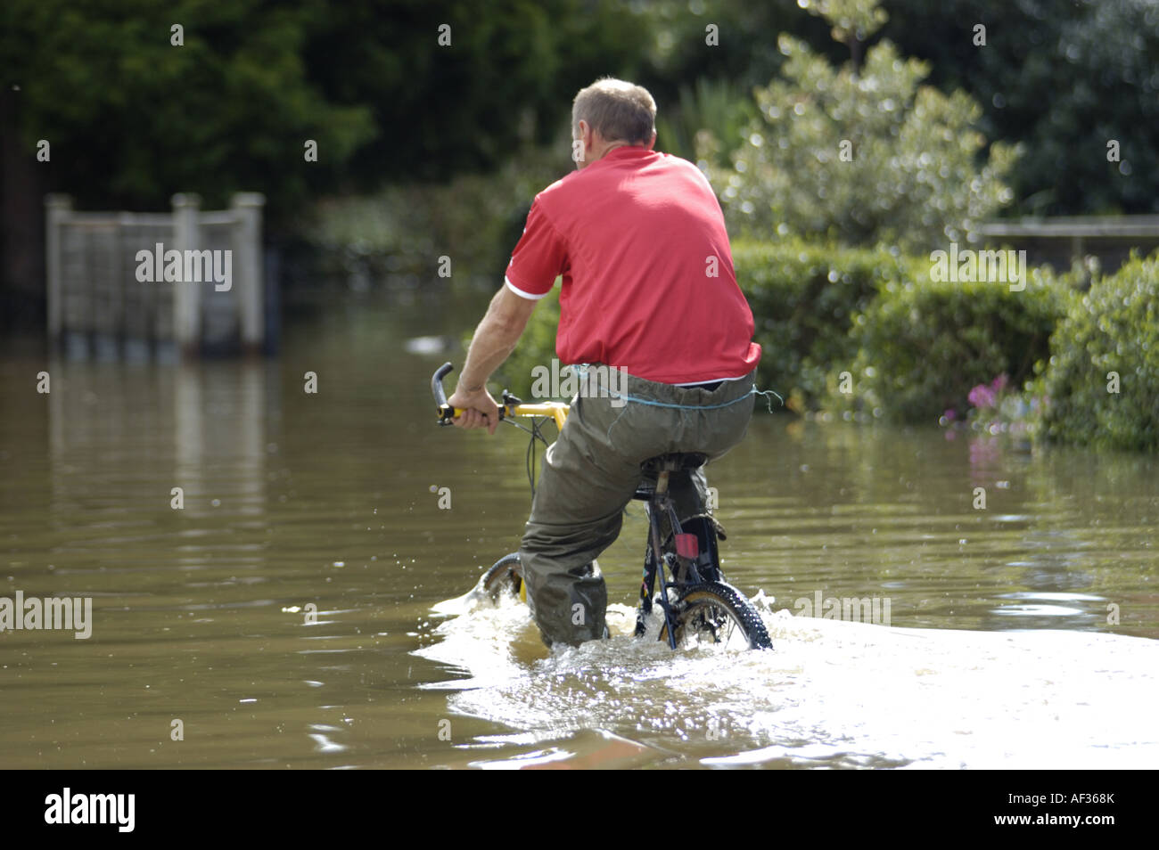 Uomo in bicicletta attraverso le inondazioni nell'area Longlevens di Gloucester Inghilterra Luglio 2007 Foto Stock