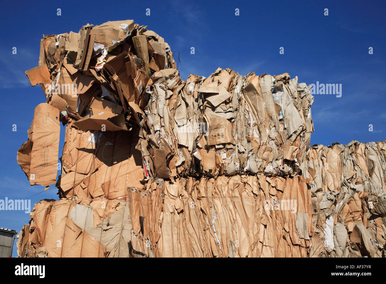 La raccolta di rifiuti di carta e cartoni per il riciclaggio Foto Stock