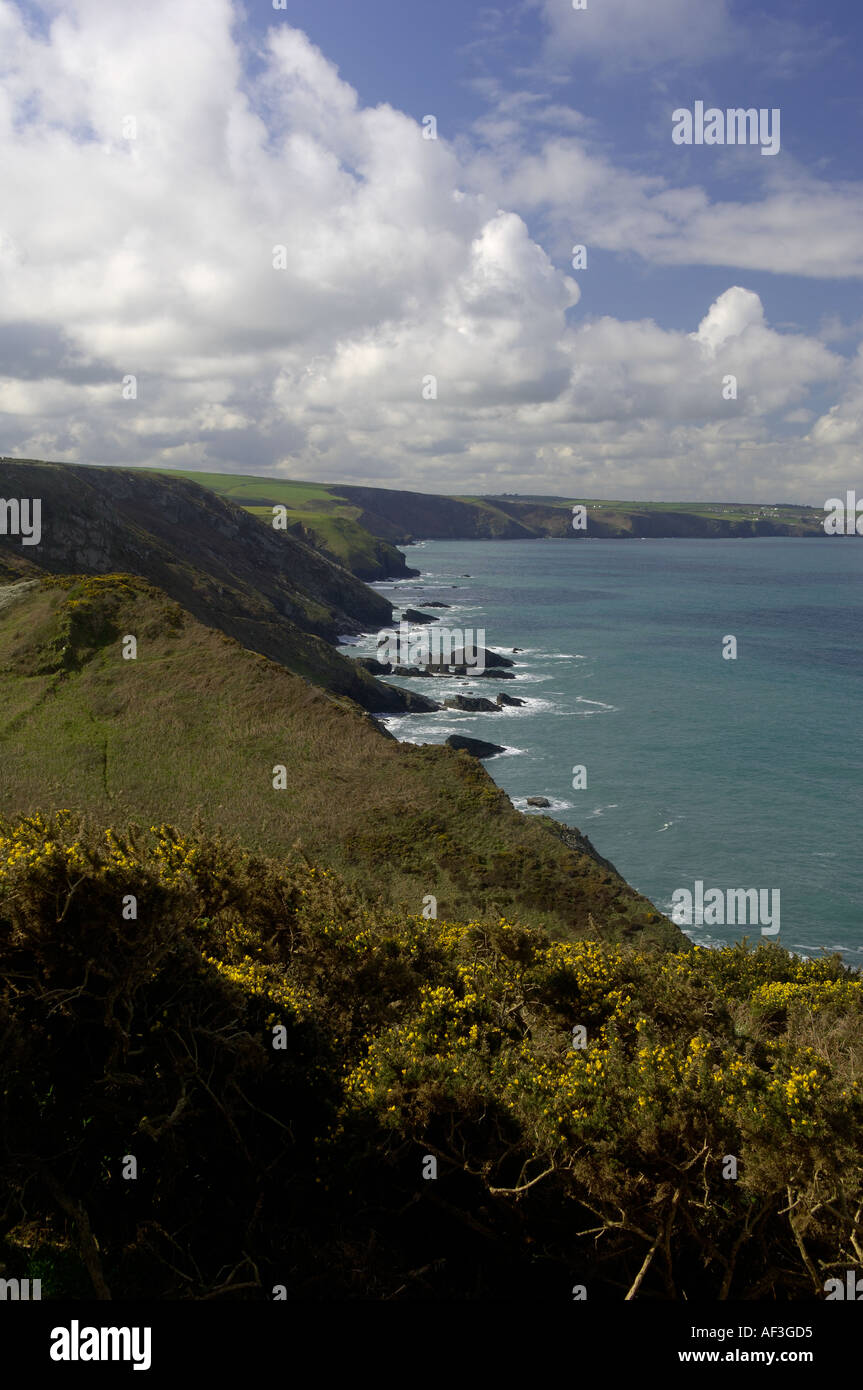 Il North Cornwall costa a Treligga vicino a Tintagel Foto Stock