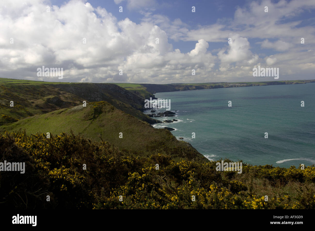 Il North Cornwall costa a Treligga vicino a Tintagel Foto Stock