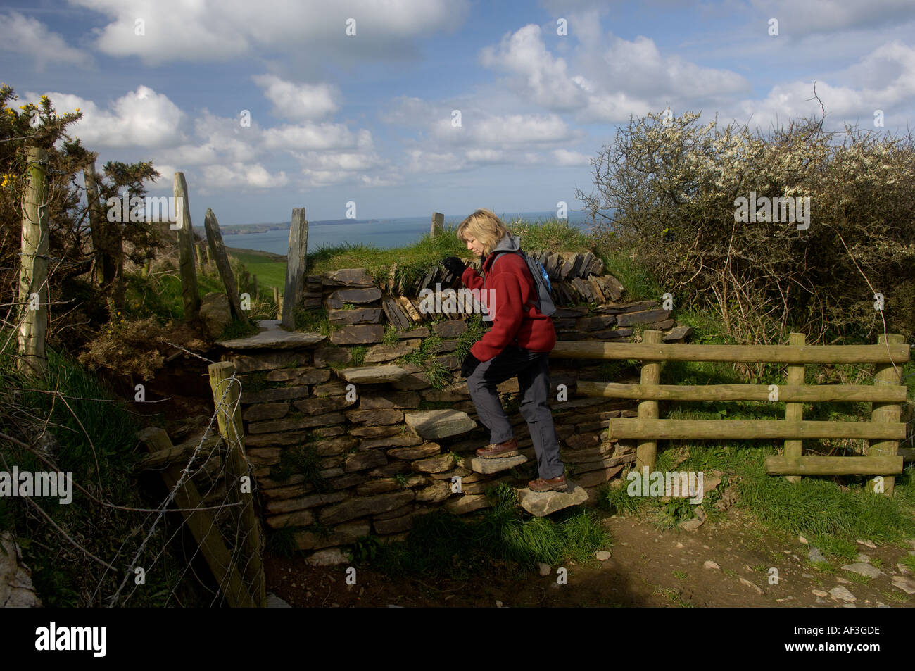 Muro di pietra e di stile con walker a Treligga North Cornwall Foto Stock
