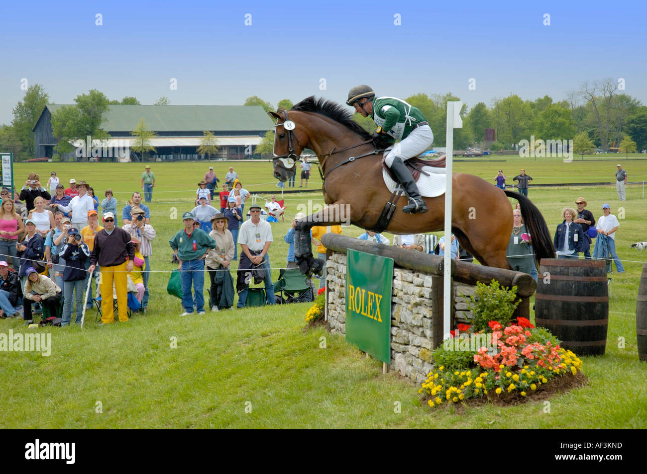 Cavallo e cavaliere cross country concorrente internazionale Foto Stock