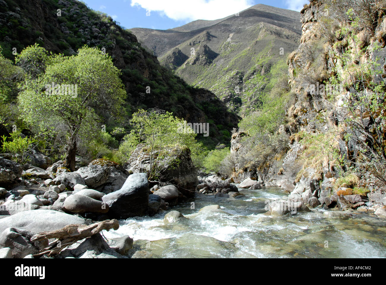Wild fiume di montagna nella bella valle verde Gen fare il Tibet Cina Foto Stock