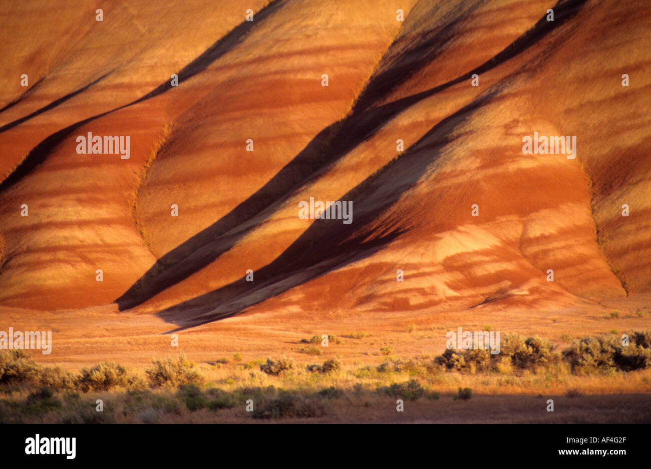 Colline dipinte di John Day Fossil Beds Oregon USA Foto Stock