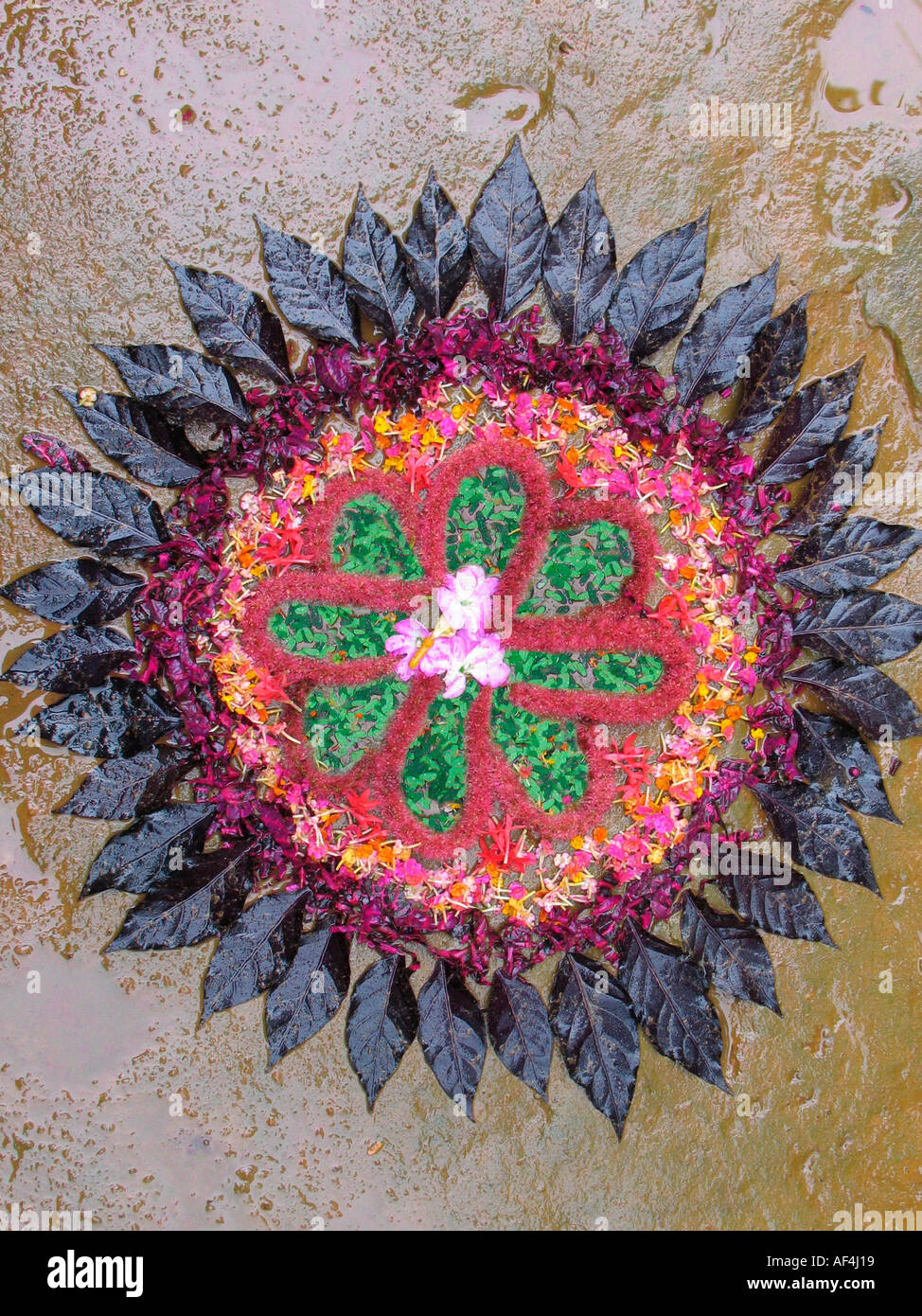 Decorazioni floreali, durante il festival di Onam in Kerala. I fiori sono portati e disposti in varie formazioni noto come Athappookalam Foto Stock
