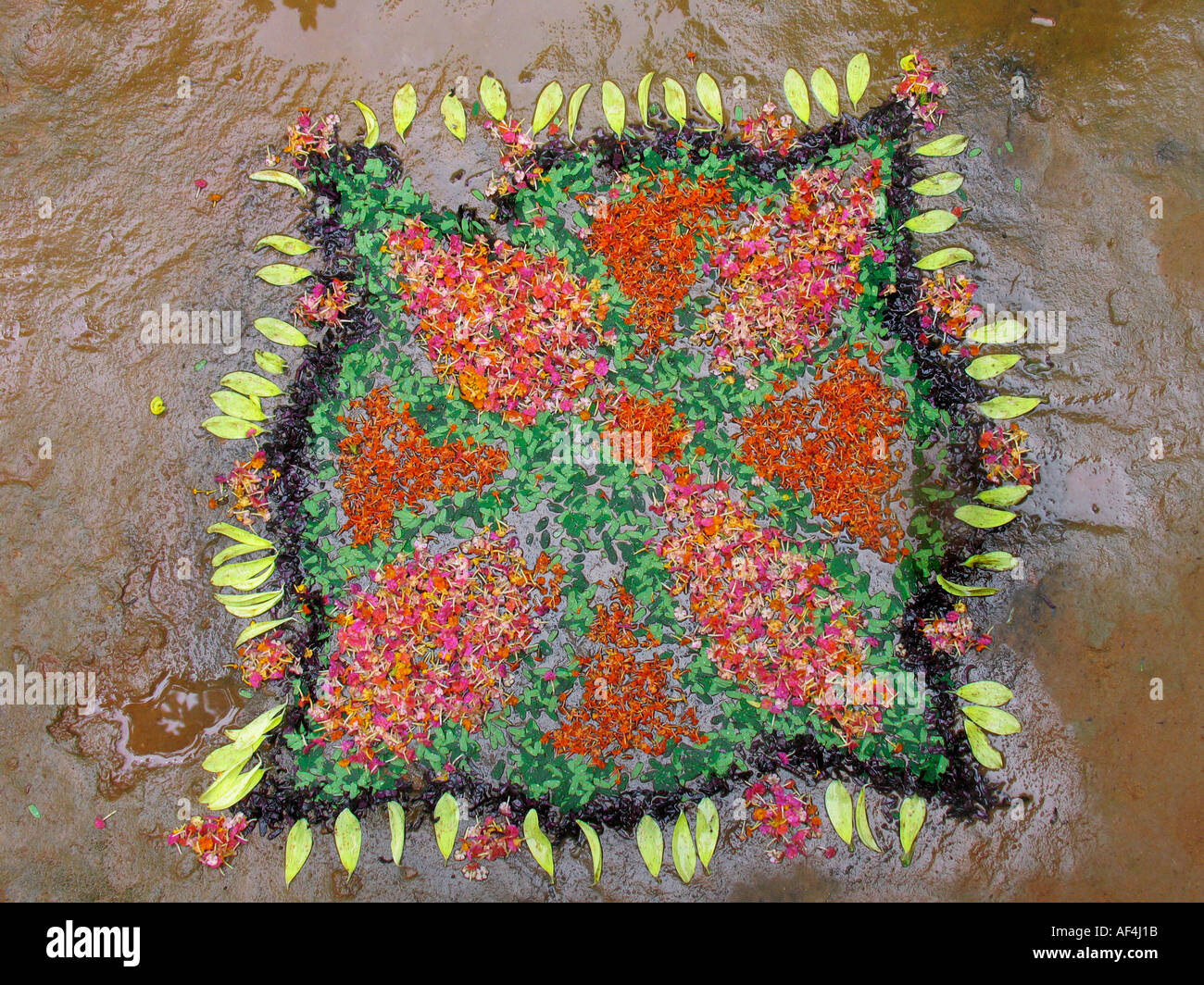 Tappeti floreali popolarmente conosciuti come Pookalam segna l'inizio del festival Onam Onam in Kerala. Foto Stock