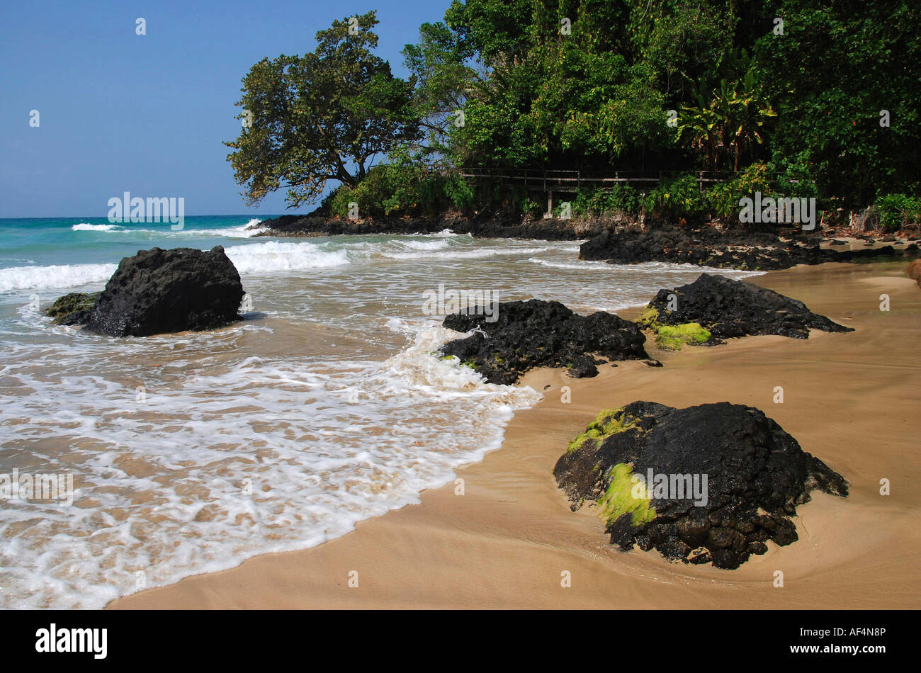Rana rossa beach. Isola Bastimentos. Arcipelago Bocas del Toro. Panama. America centrale Foto Stock