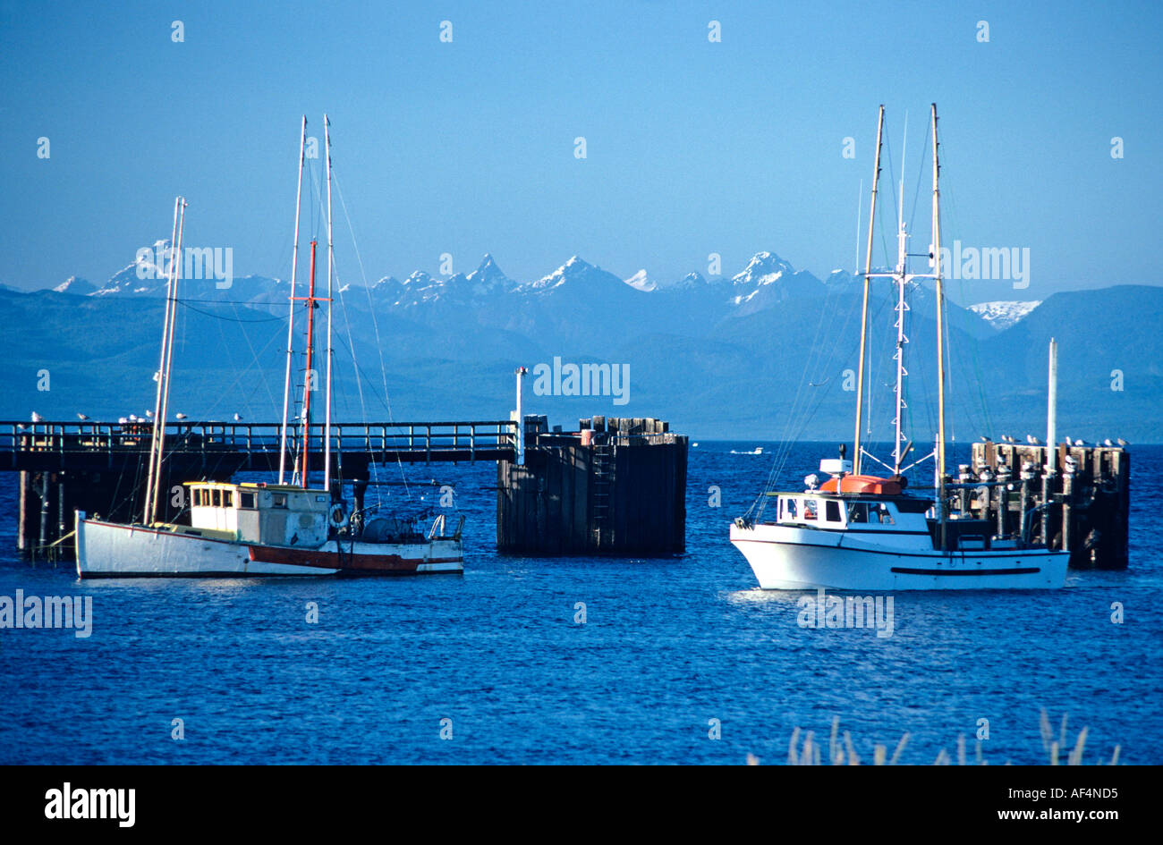 Coperta di neve in alta montagna sulla terraferma visto da Comox sulla costa est dell'isola di Vancouver, British Columbia Canada Foto Stock