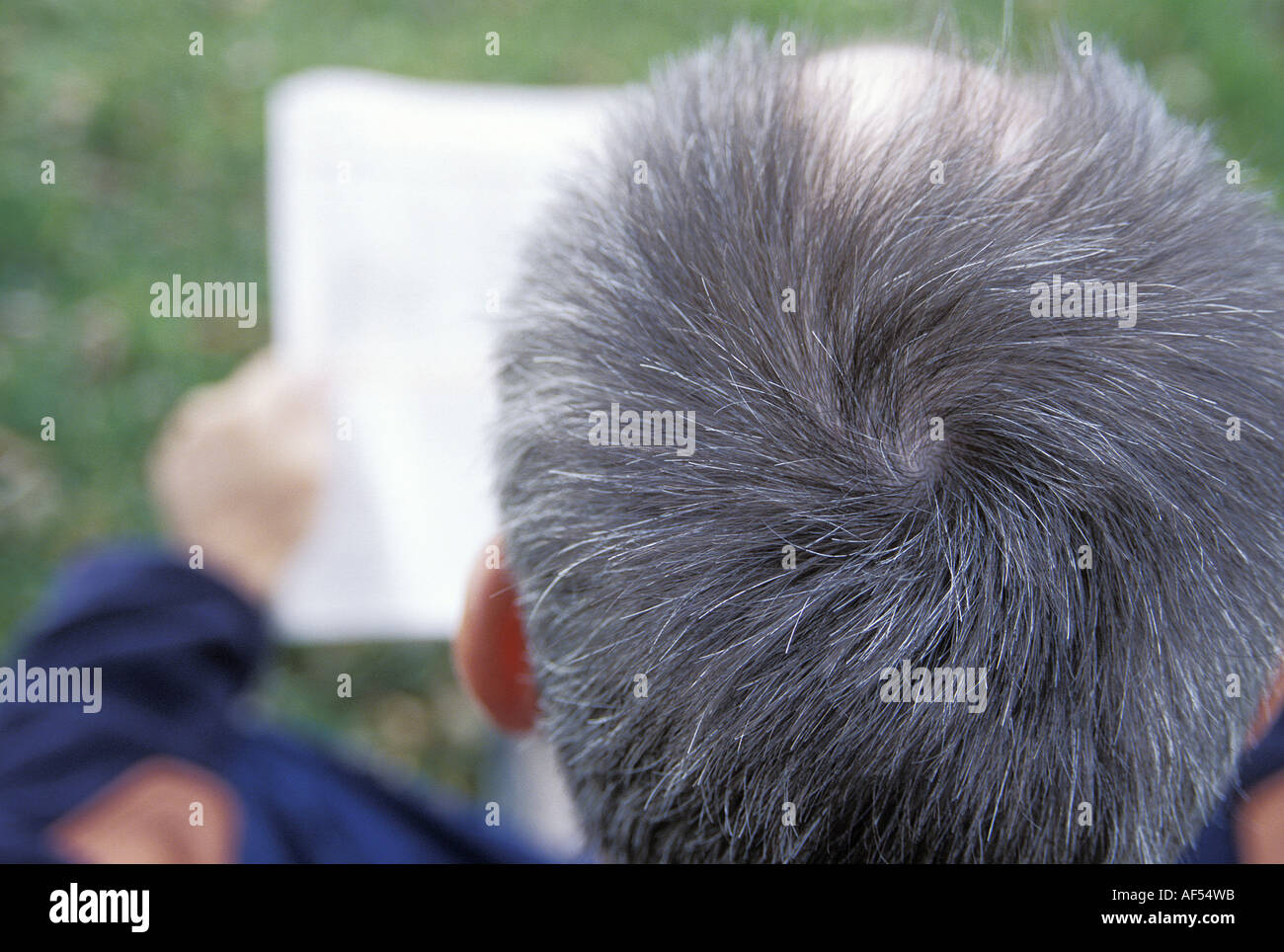 Elevato angolo di visione di un uomo maturo la lettura di una carta Foto Stock