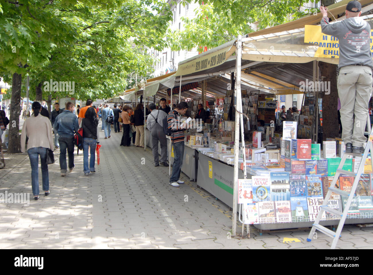 Il mercato del libro in Sofia Bulgaria Foto Stock