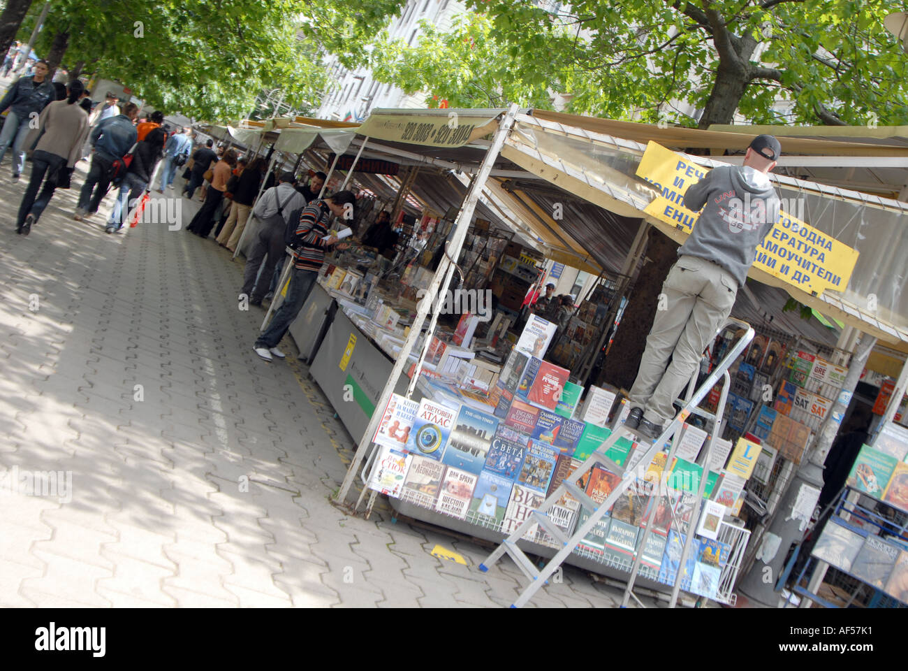Il mercato del libro in Sofia Bulgaria Foto Stock