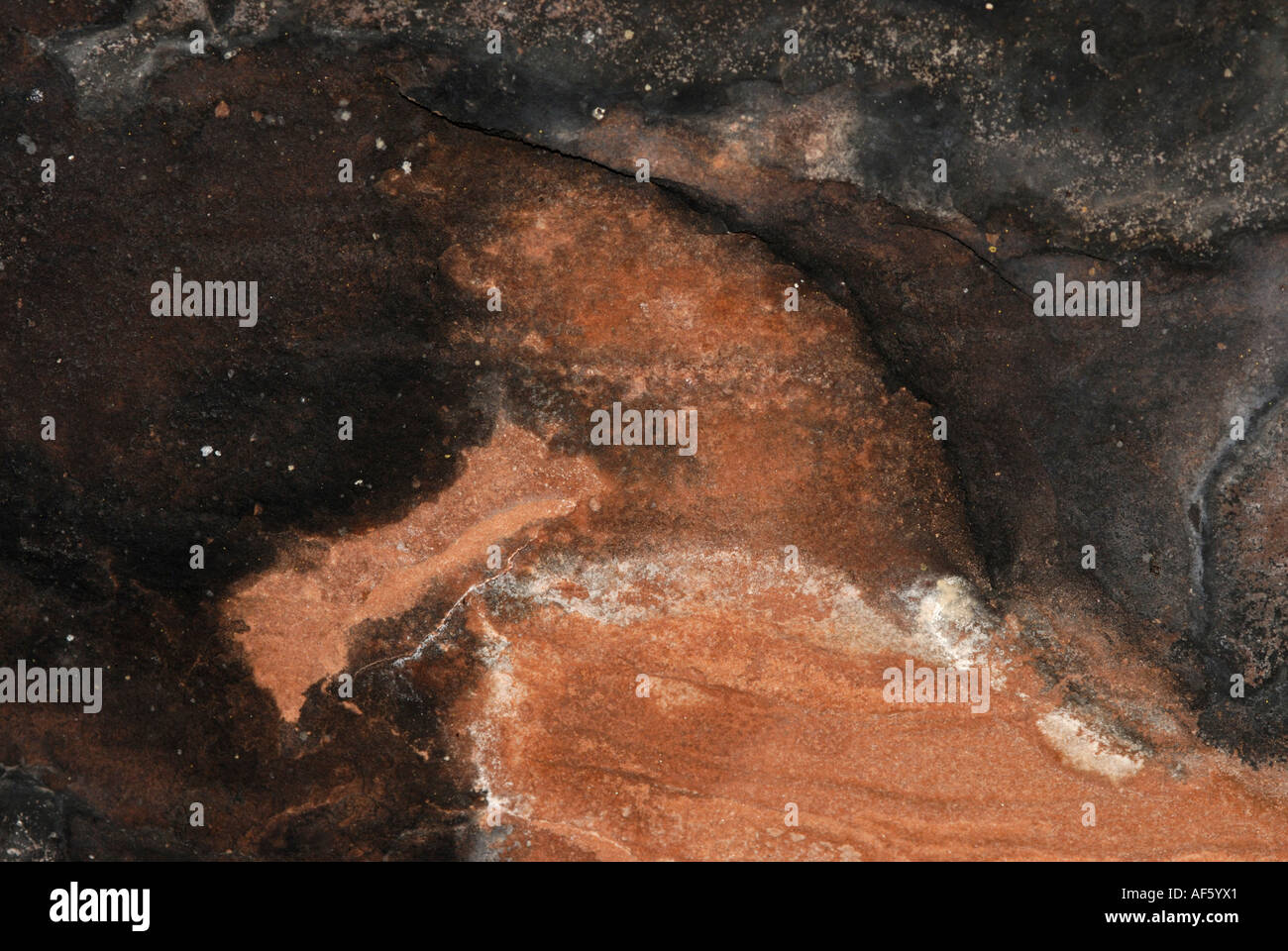 Sinagua Native American pittogrammi di uccello, Palatki Red cliffs, Arizona Foto Stock