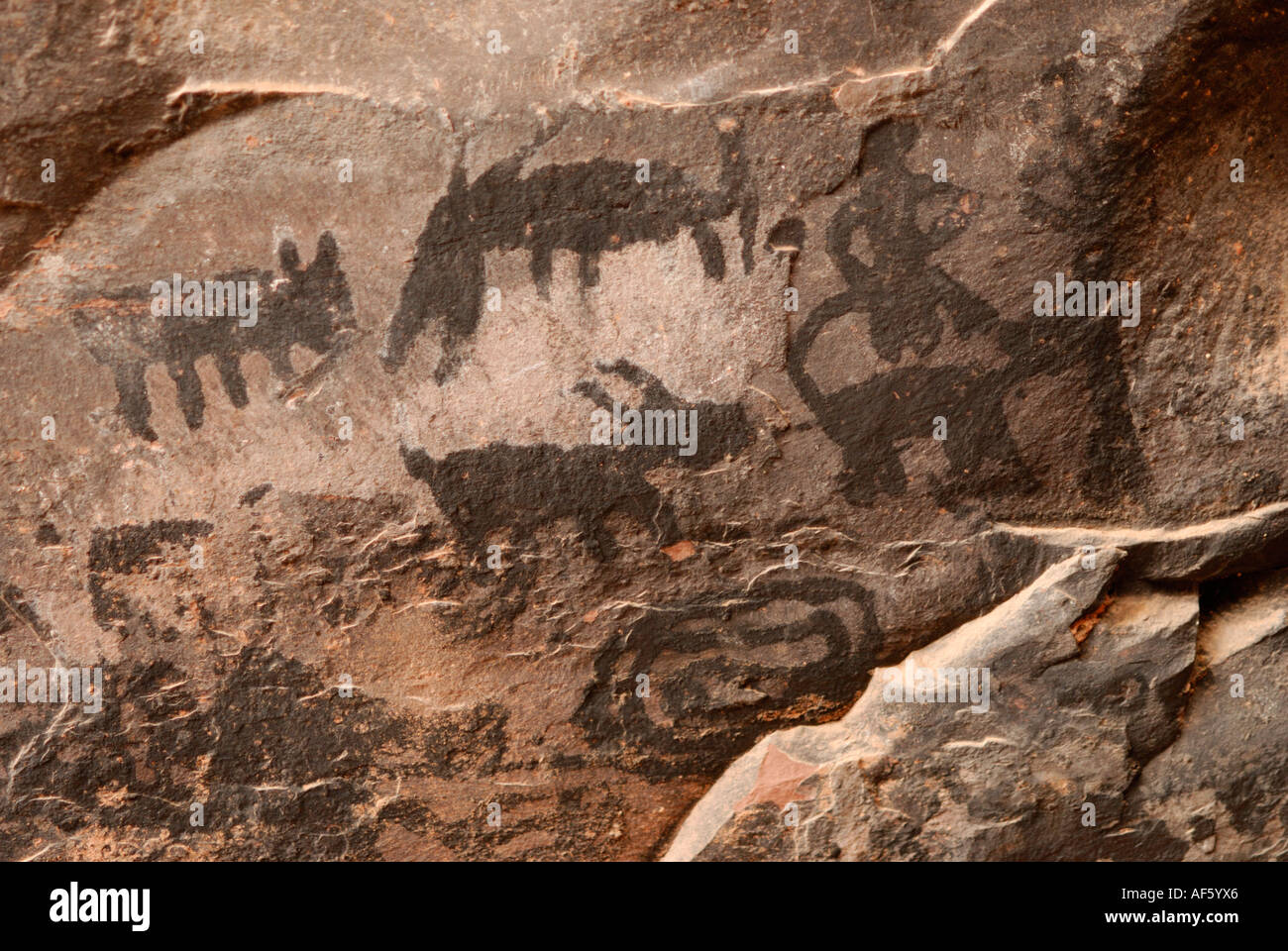 Sinagua Native American pittogrammi di animali e simboli spirituale, Palatki Red cliffs, Arizona Foto Stock