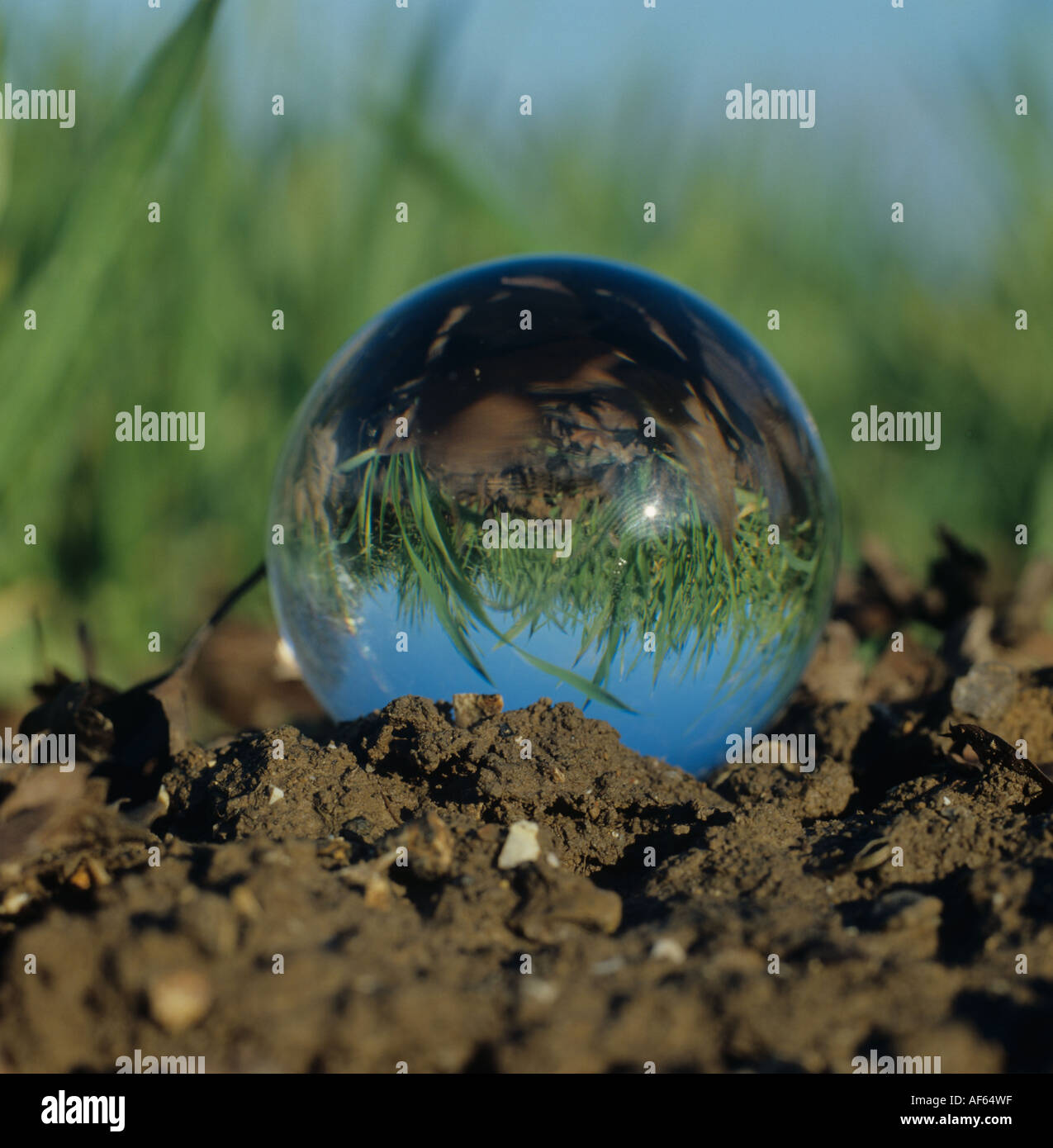 Sfera di cristallo sul suolo rifrangere un giovane raccolto di cereale dietro di essa Foto Stock