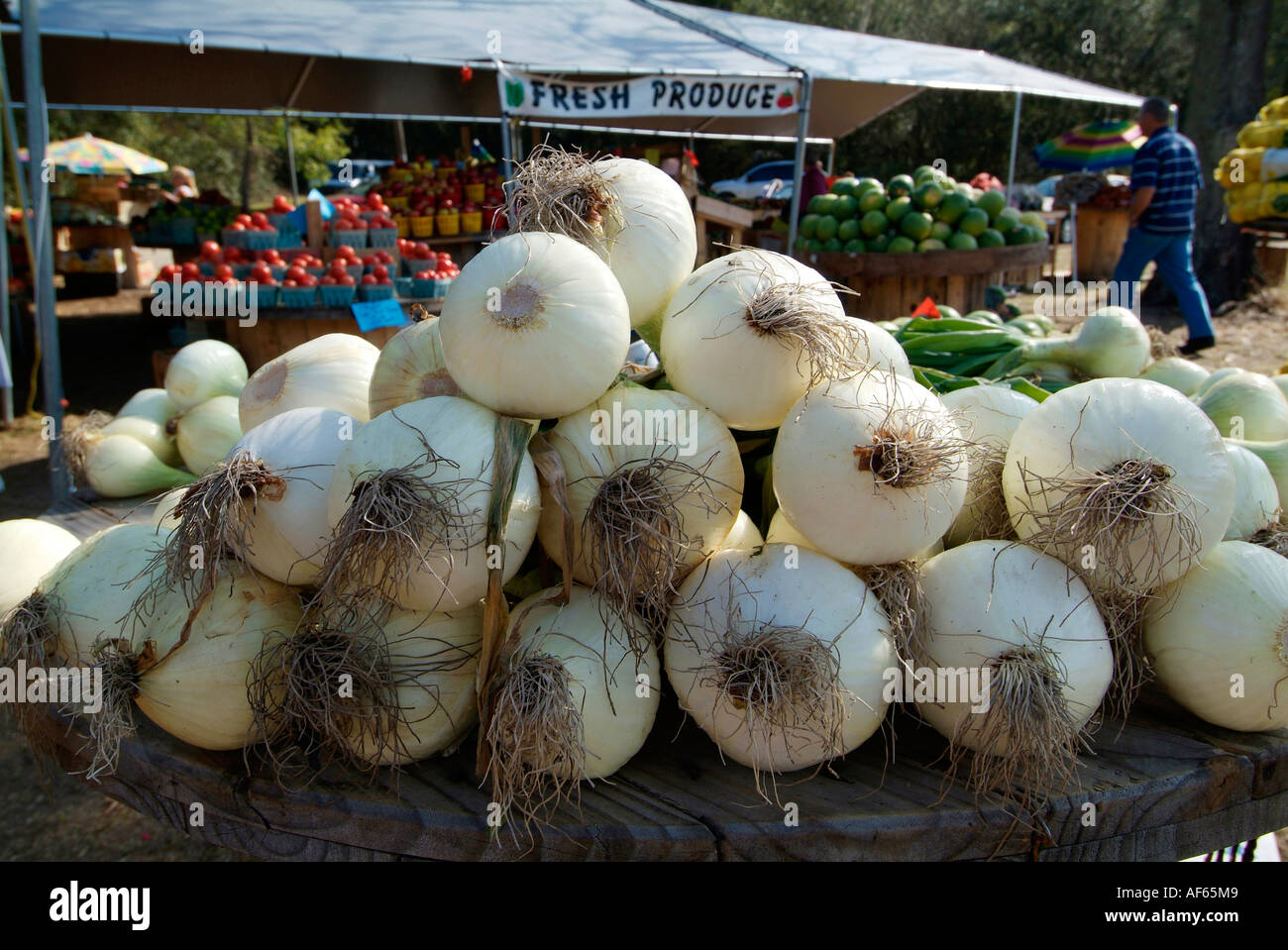 Cipolle Vadalia a Macon Georgia strada la frutta e la verdura stand Foto Stock