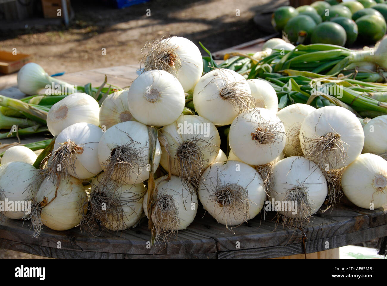 Cipolle Vadalia a Macon Georgia strada la frutta e la verdura stand Foto Stock