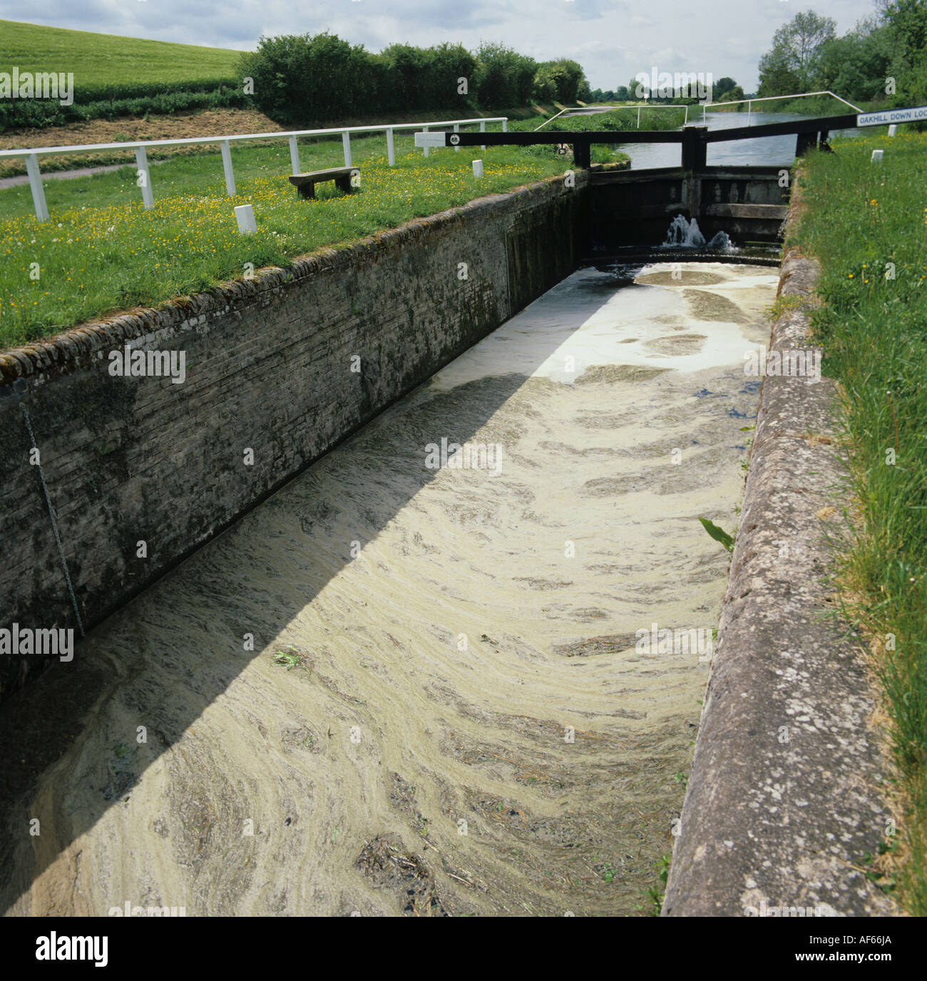 Sporcizia e detriti sulla superficie dell'acqua in un blocco del canale vicino a Hungerford Foto Stock