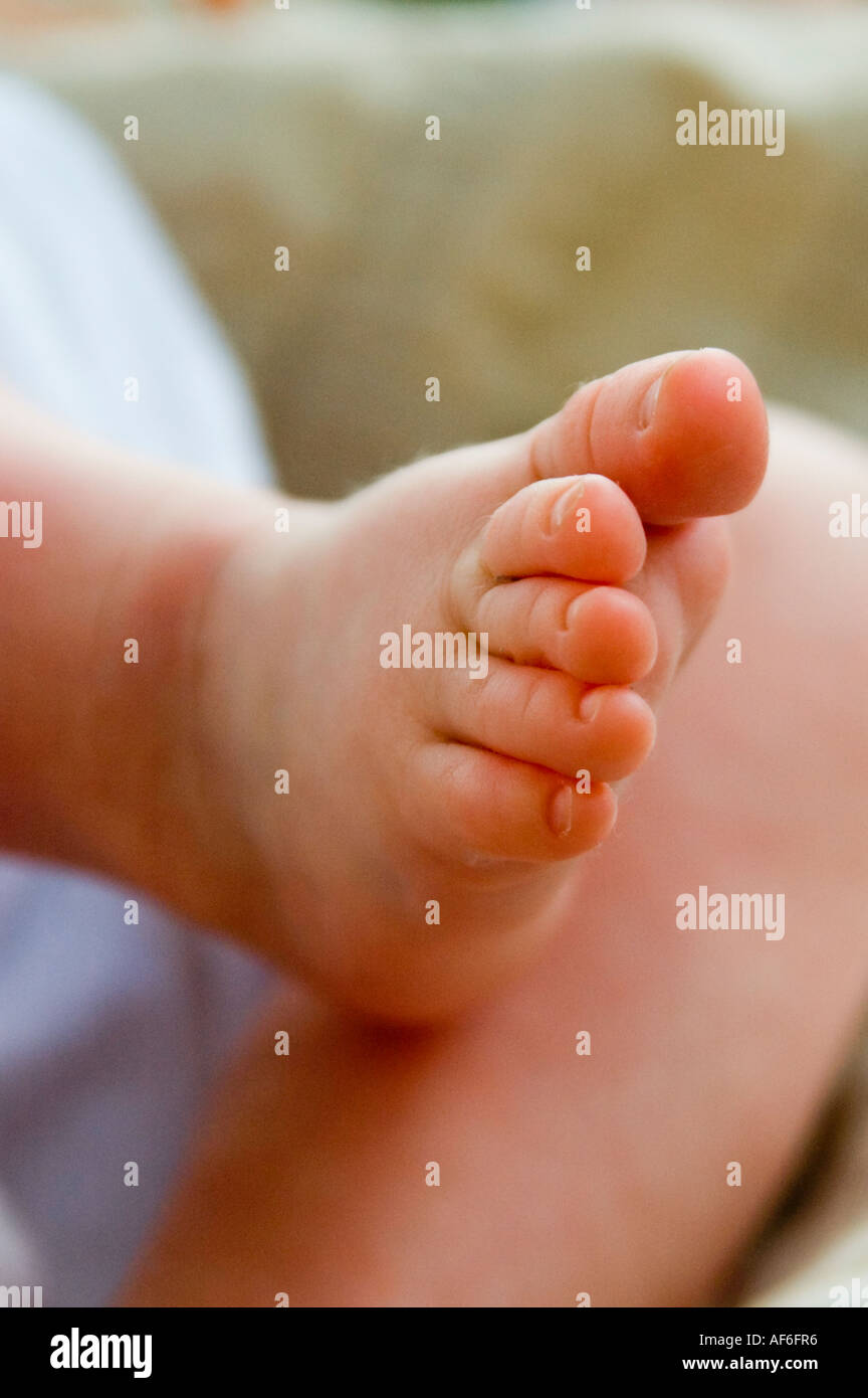 Verticale fino in prossimità di un bambino caucasico della piccola rosa il piede e le dita dei piedi. Foto Stock
