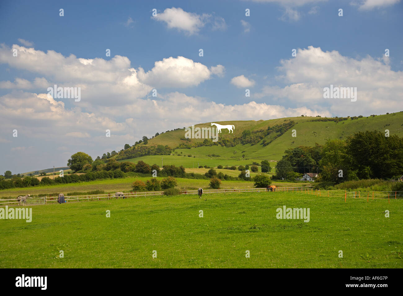 White Horse, Westbury, Wiltshire, Inghilterra, Regno Unito Foto Stock