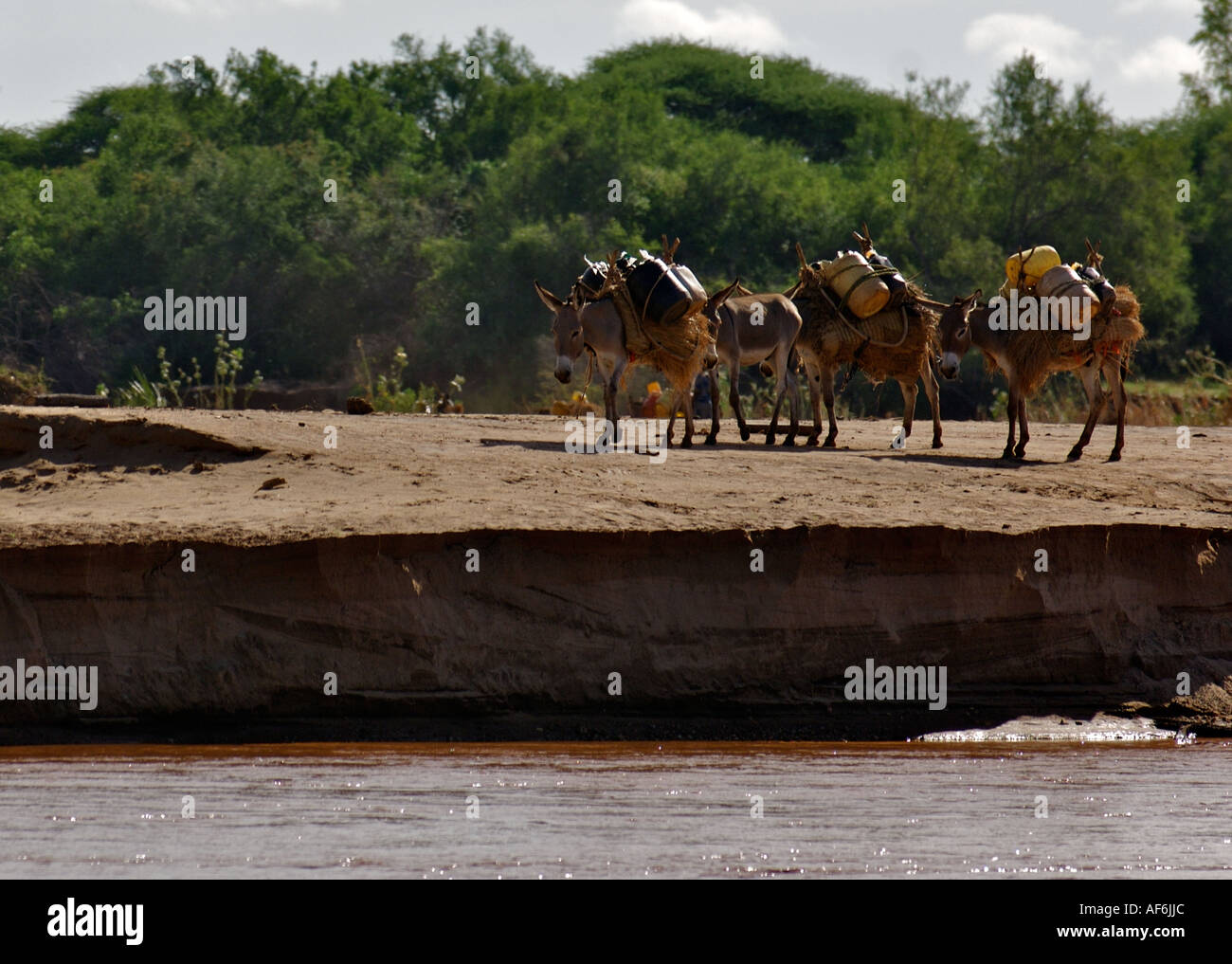 Nomadi tribù somale utilizzando i cammelli per portare con sé la loro intera case di Wajir, nord-est del Kenya, Africa. Foto Stock