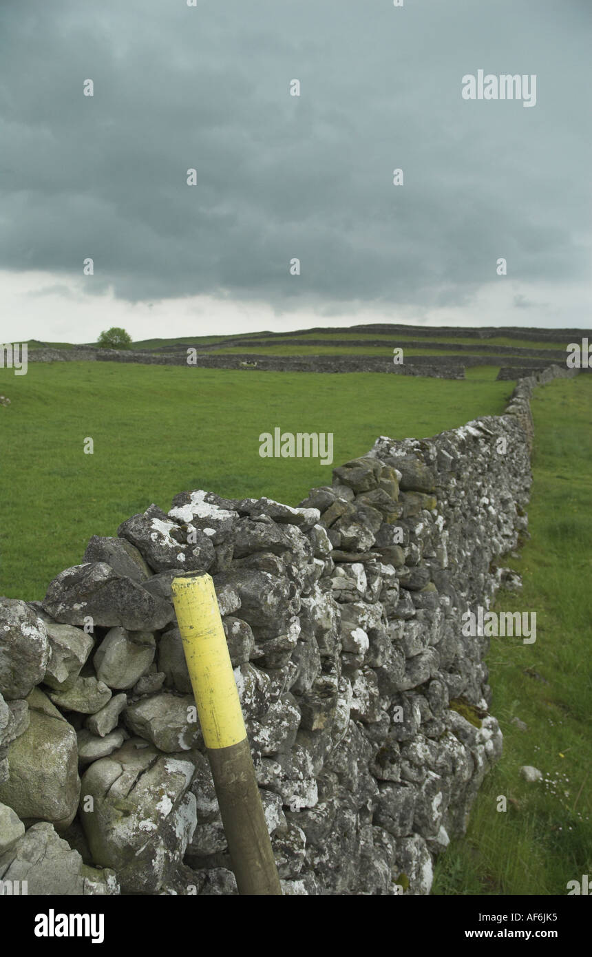 Dales modo paesaggio Foto Stock