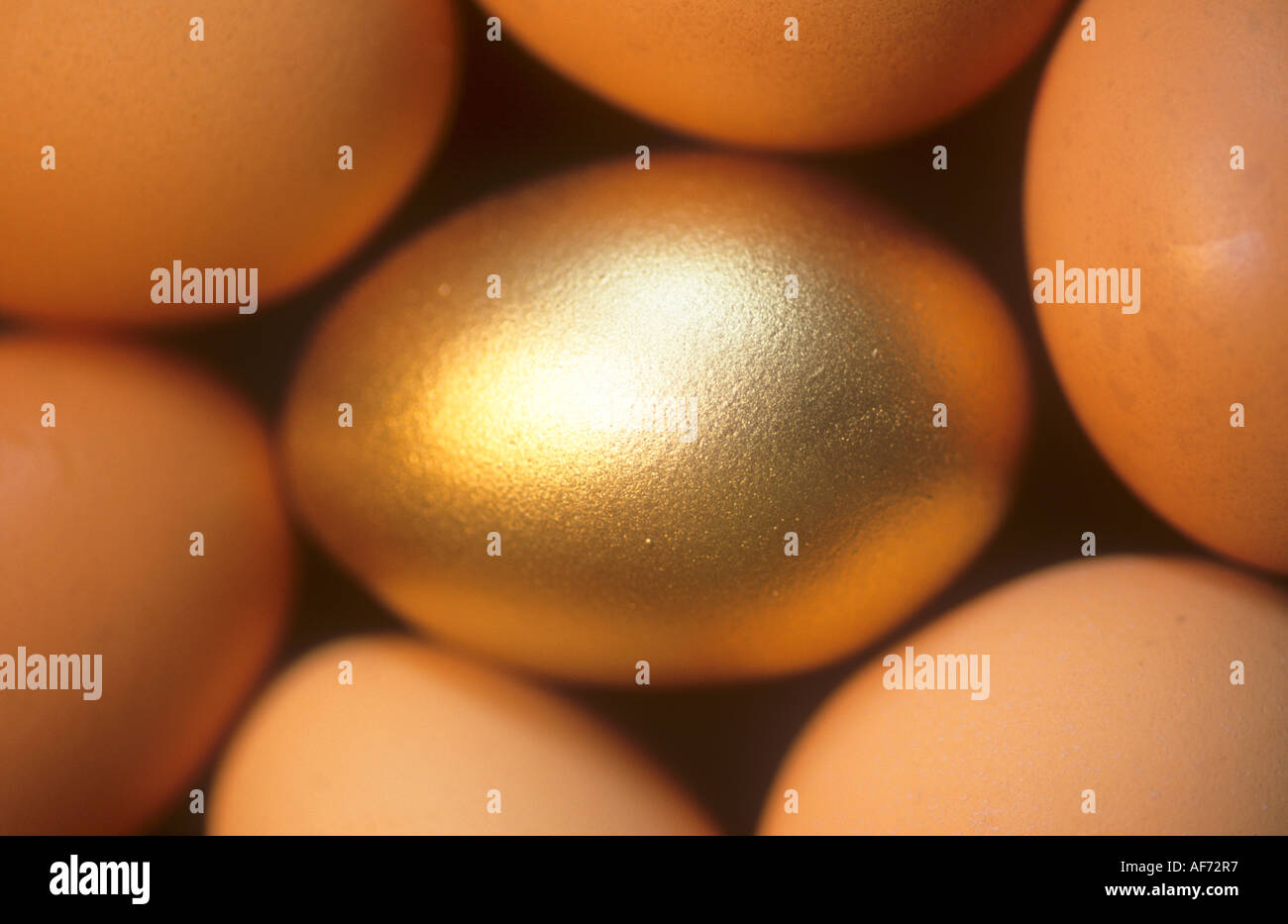 Gruppo di uova contenenti una golden one. Foto Stock