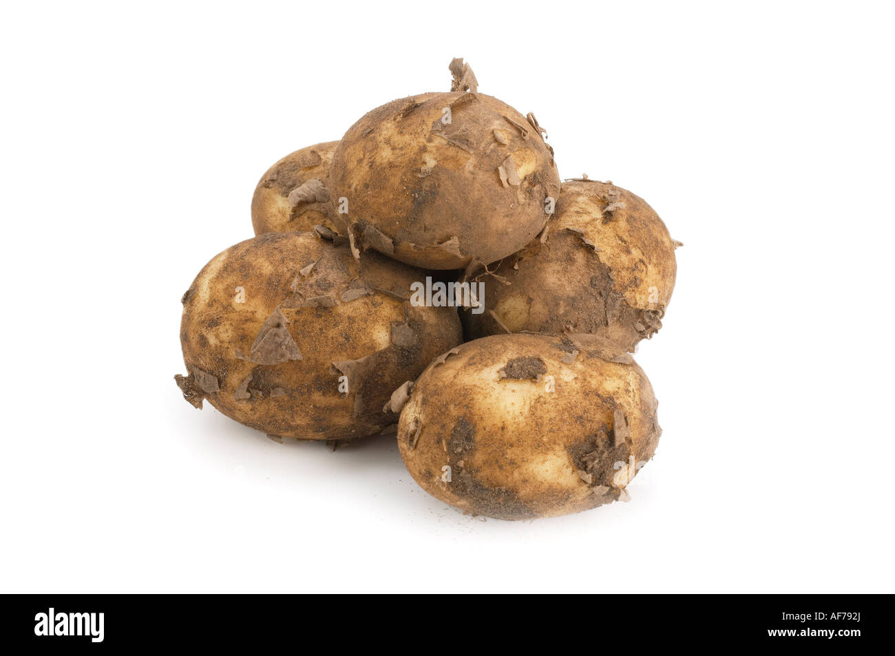 Patate di primizia varietà Norfolk Royal Foto Stock