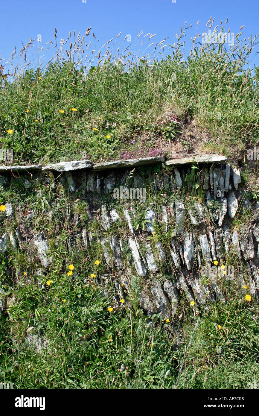 Cornish Hedge di Pietra e Ardesia e Turf, Cornwall, Regno Unito, Europa Foto Stock