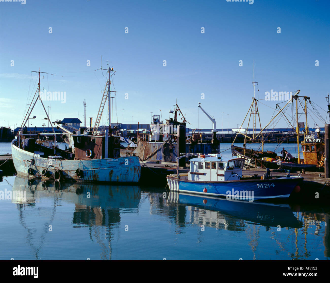 Barche da pesca, Holyhead pesce dock, Anglesey, Galles del Nord, Regno Unito Foto Stock