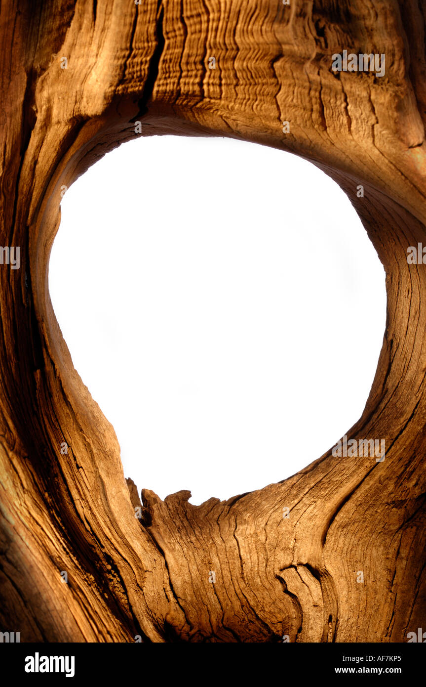 Pezzo di legno con un foro nel mezzo Foto Stock