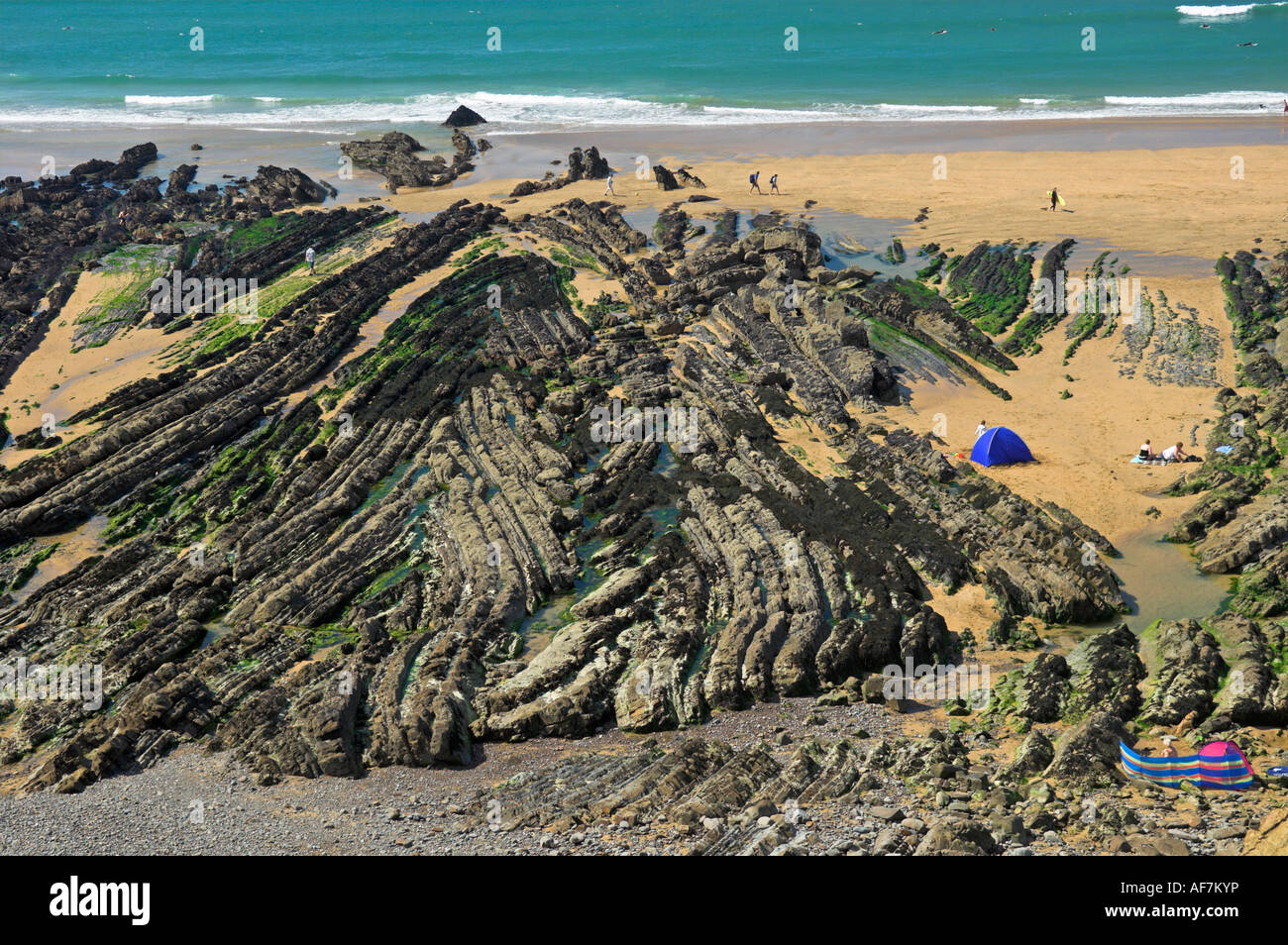Sedimentarie erose a strati di roccia Northcott Mouth Beach bassa marea North Cornwall west country vicino a Bude Inghilterra Foto Stock
