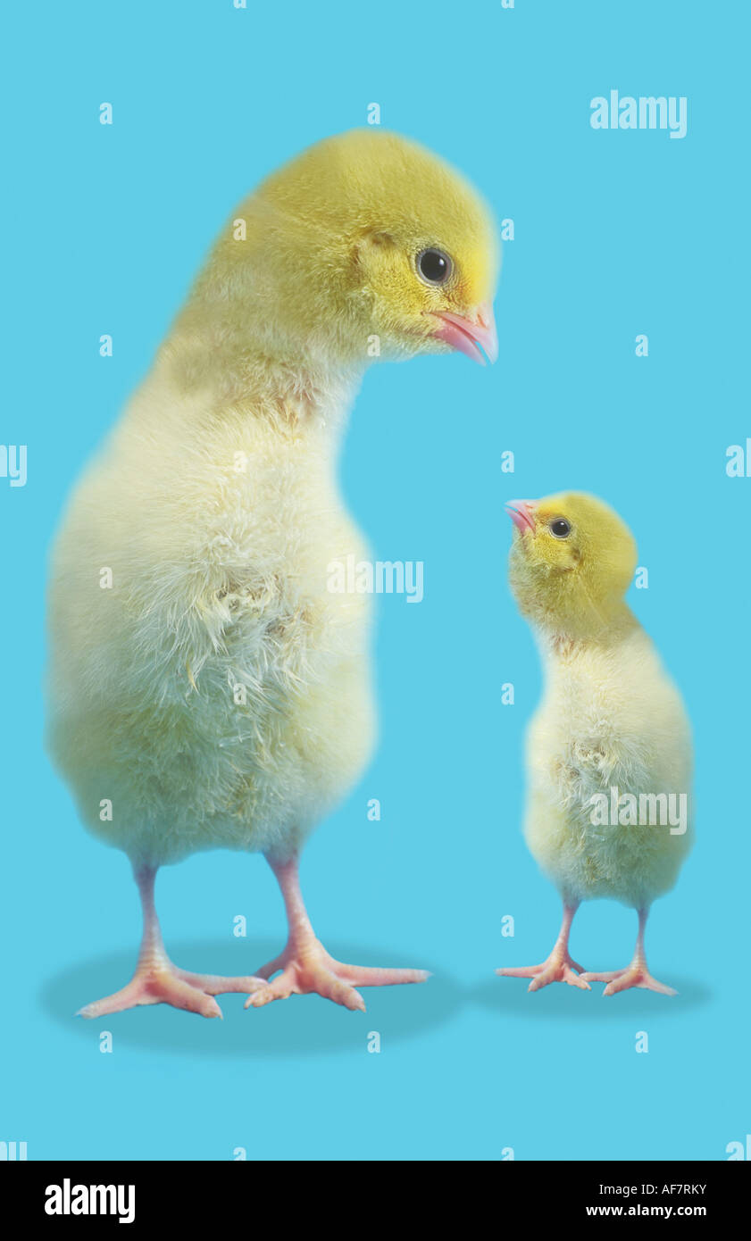 Piccoli e grandi Foto Stock