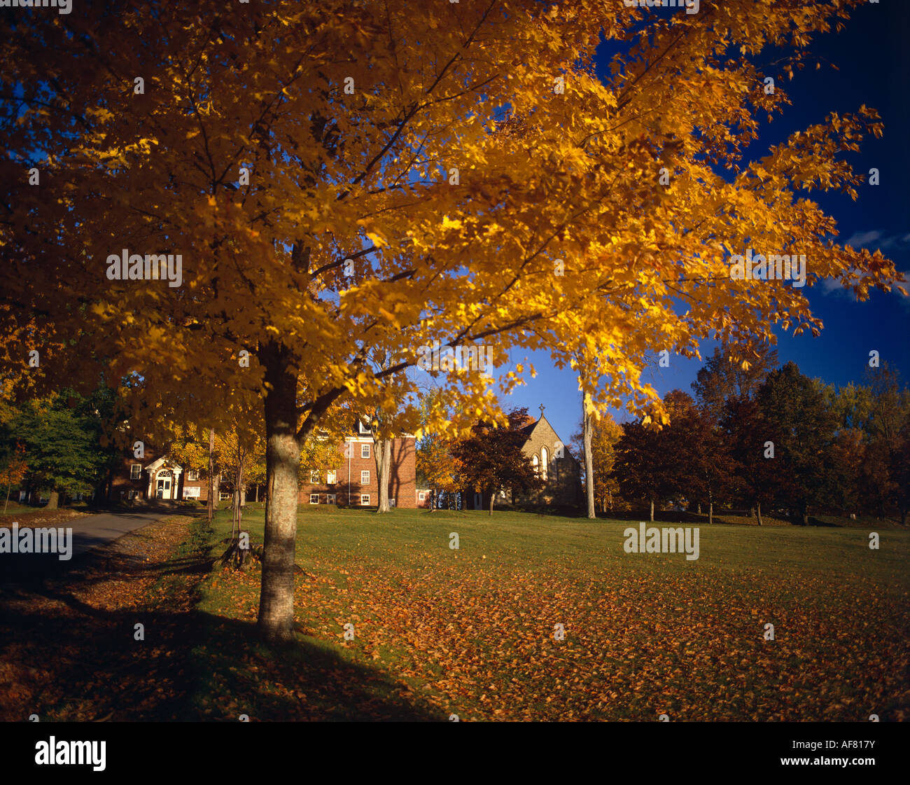 La chiesa edificio Foglie di autunno Foto Stock