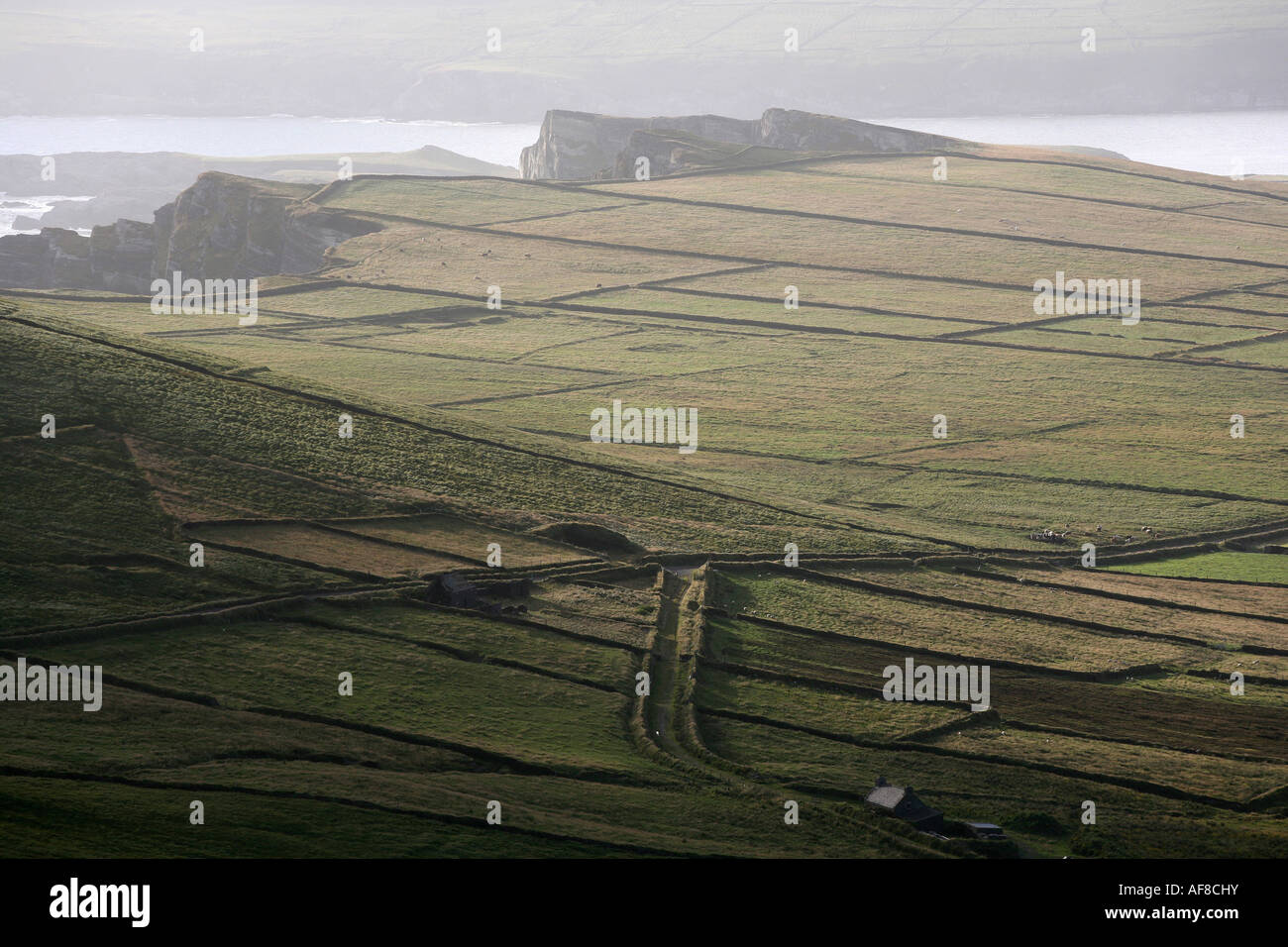 Paesaggio tra Ballynahow e Portmagee, Ring of Kerry, Irlanda, Europa Foto Stock