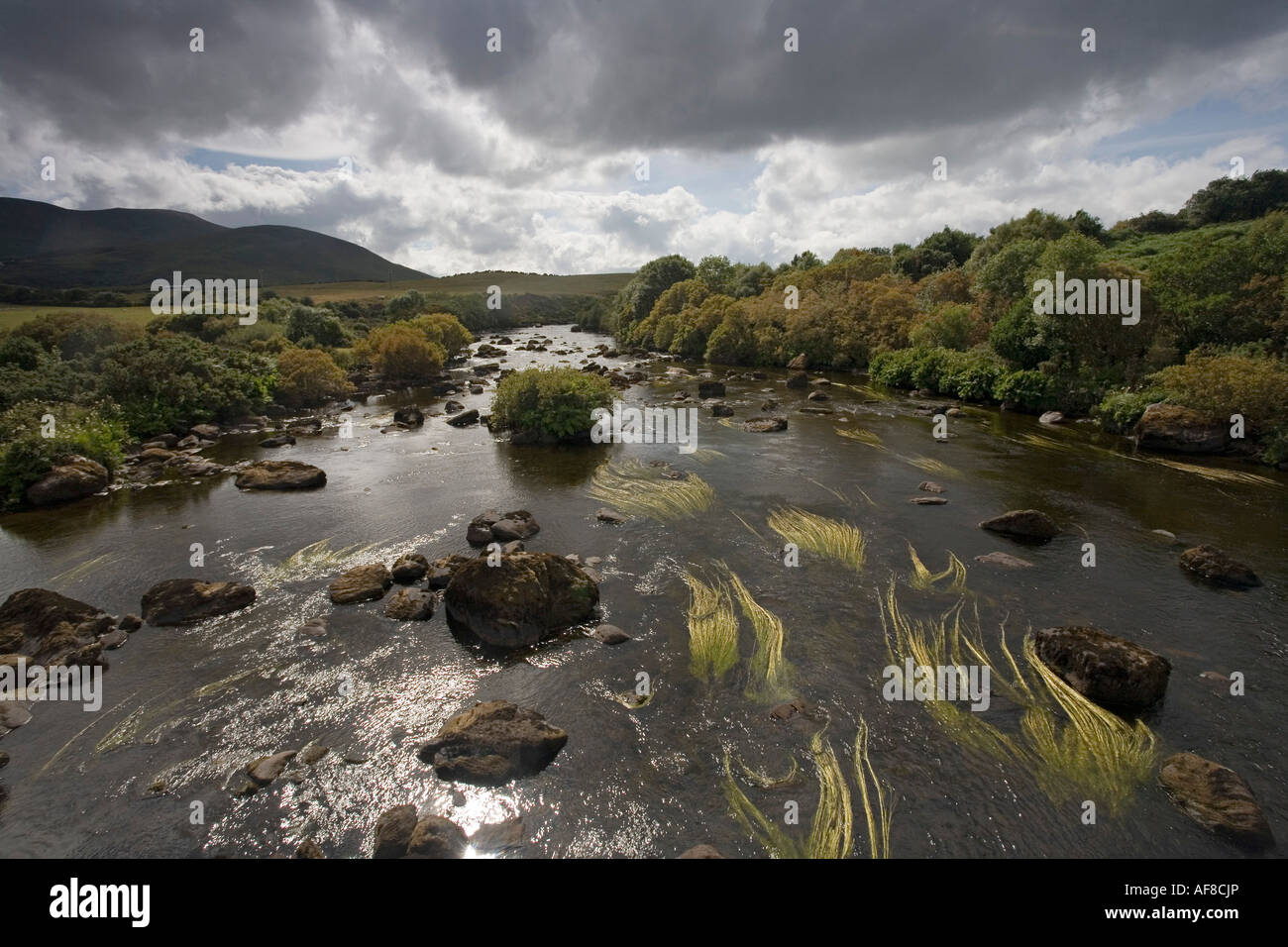 Fiume vicino al lago di Caragh, Ring of Kerry, Irlanda, Europa Foto Stock