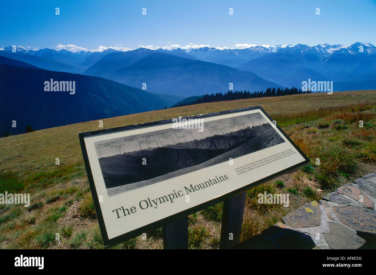 Montagne Olimpiche visto da Hurricane Ridge, il Parco Nazionale di Olympic, Washington, Stati Uniti d'America Foto Stock