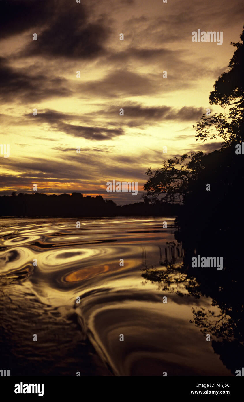 Classic golden Cielo di tramonto dalla barca oltre il fiume e profila uno scenario della foresta pluviale nella regione amazzonica del Brasile Foto Stock