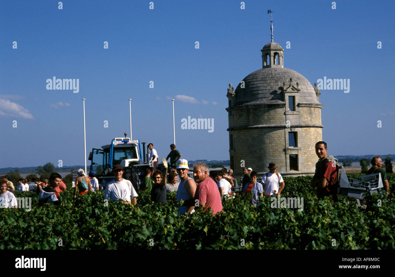 Francia vino Bordeaux Medoc Chateau de la Tour Foto Stock