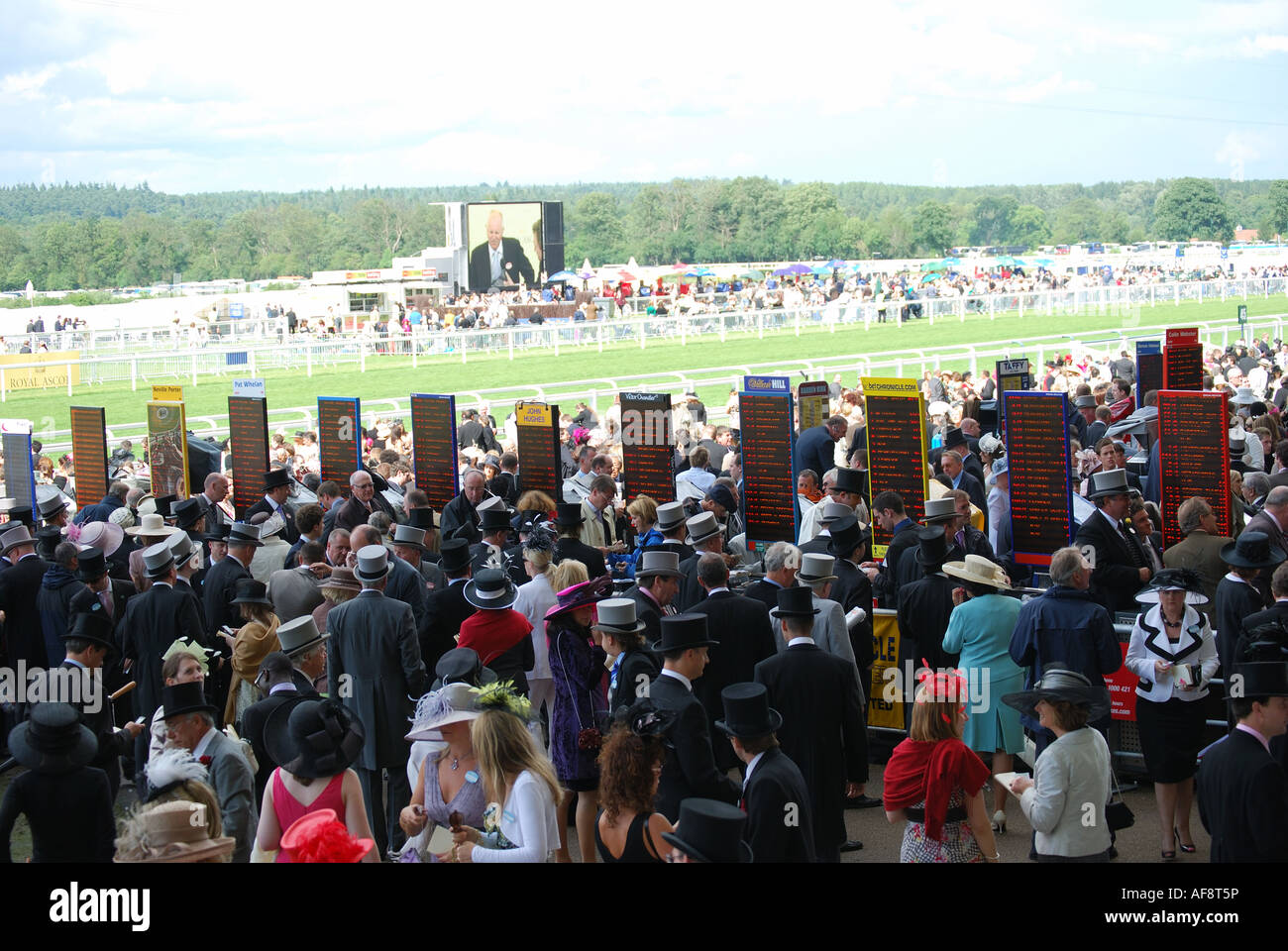 La tribuna che mostra le scatole, Royal Ascot incontro, Ascot Racecourse, Ascot Berkshire, Inghilterra, Regno Unito Foto Stock