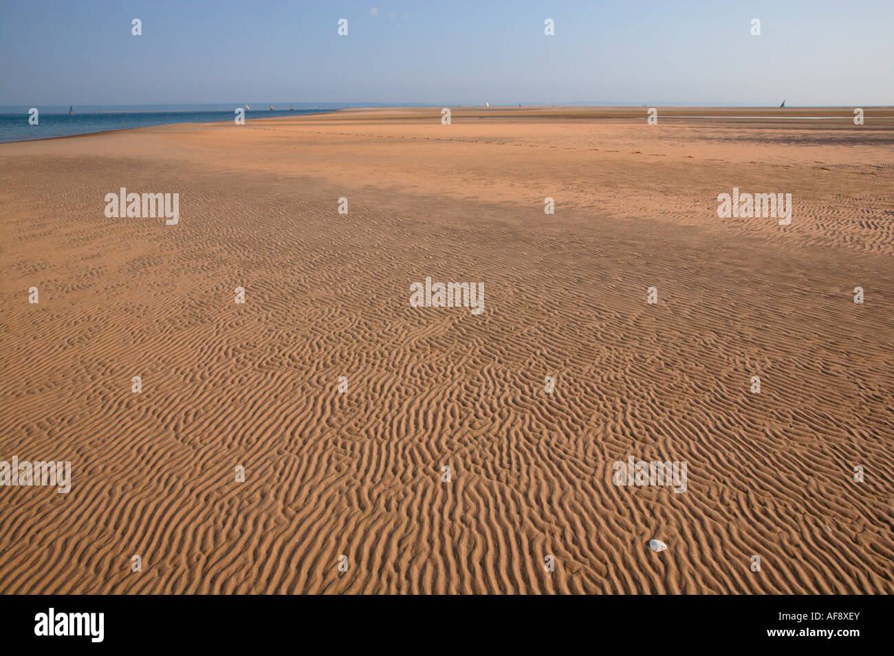 Increspature di sabbia su un vasto dorata spiaggia Foto Stock