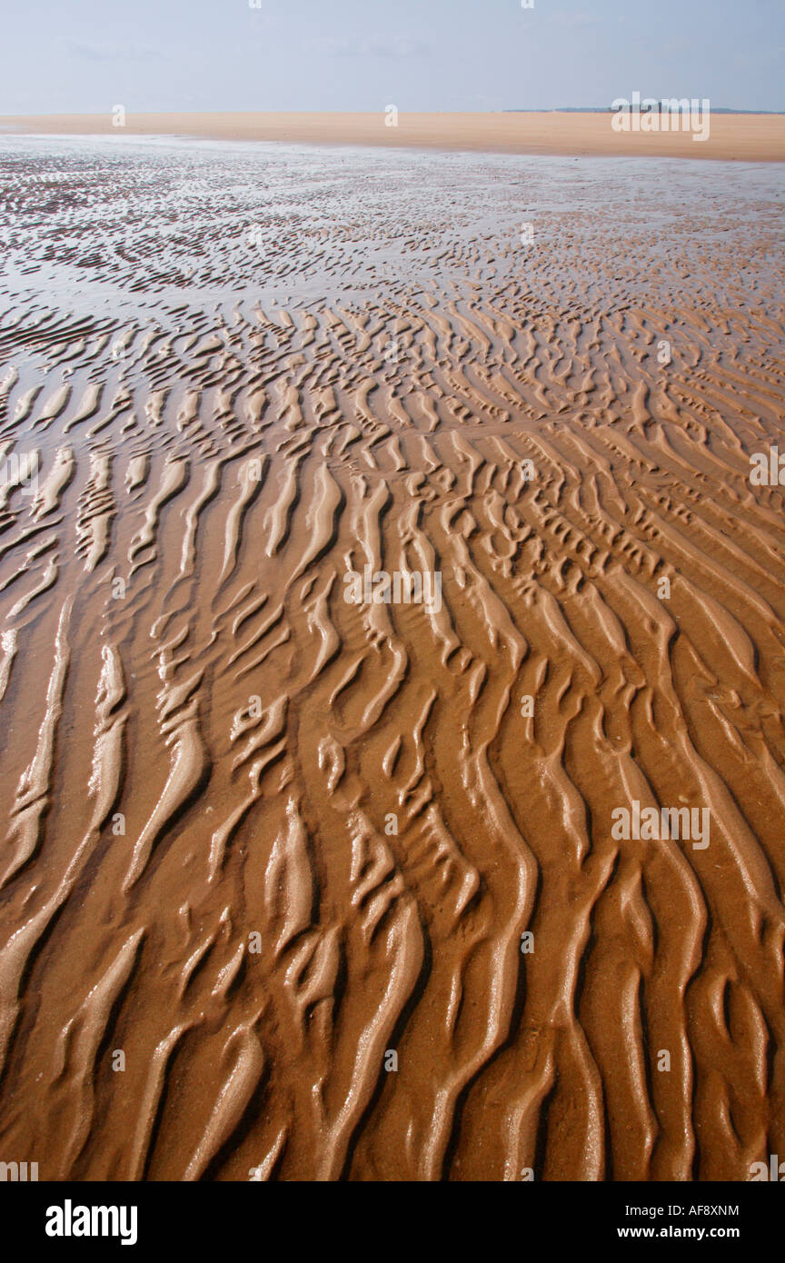 Increspature di sabbia su una spiaggia bagnata Foto Stock