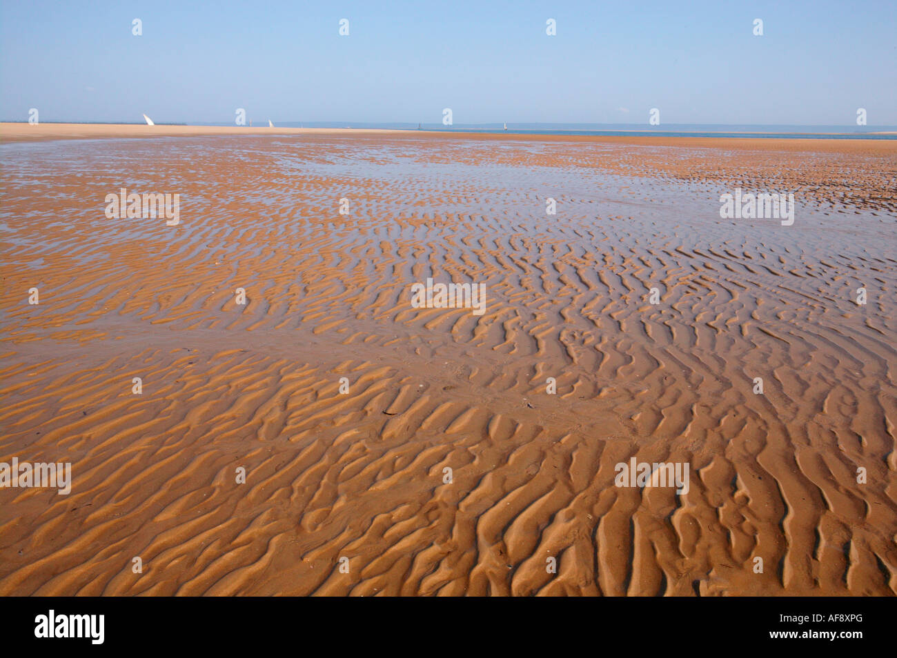 Increspature di sabbia con le vele di lontani dhows visibile all'orizzonte. Foto Stock