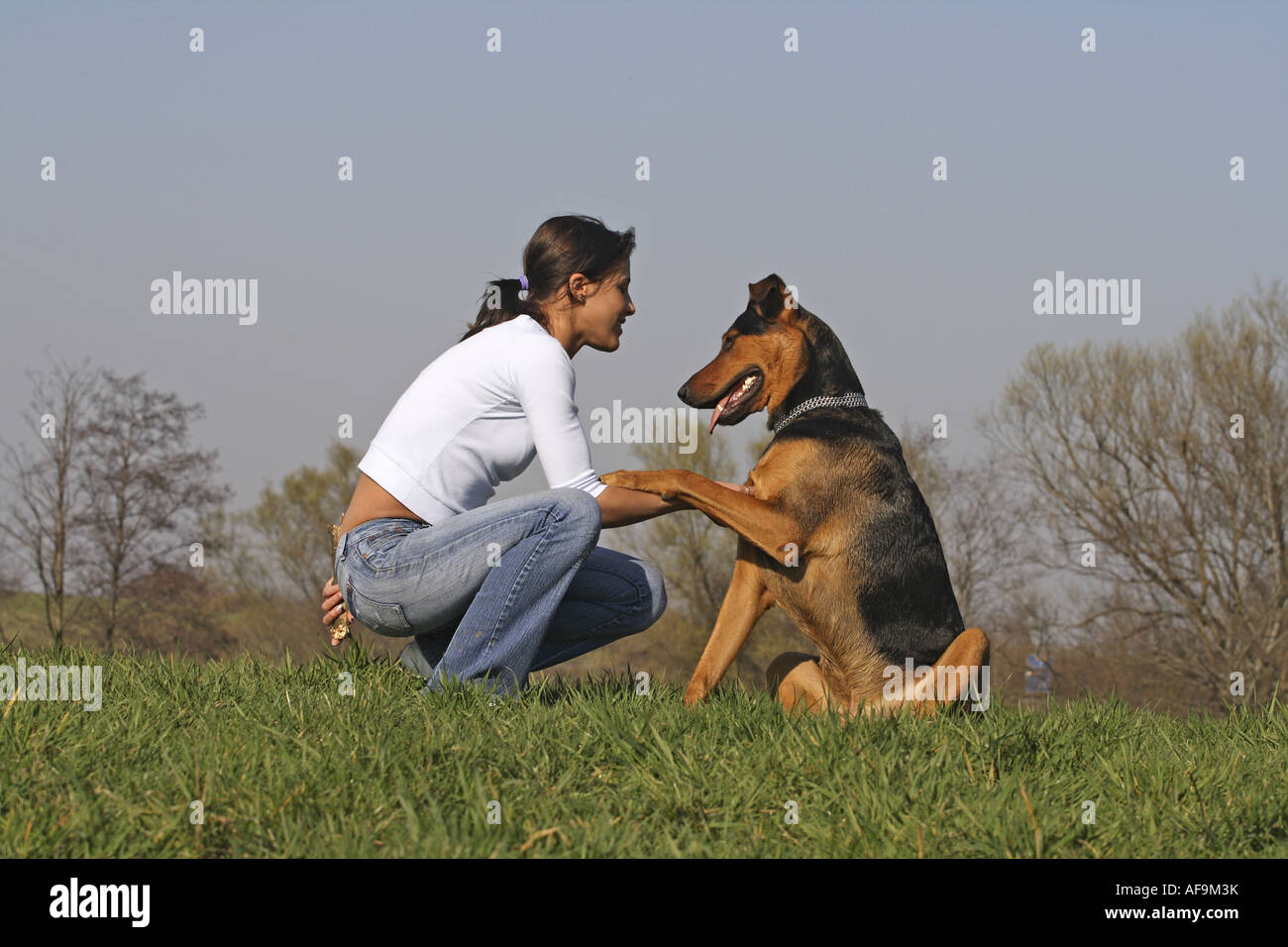 Razza cane (Canis lupus f. familiaris), con la giovane donna sul prato Foto Stock