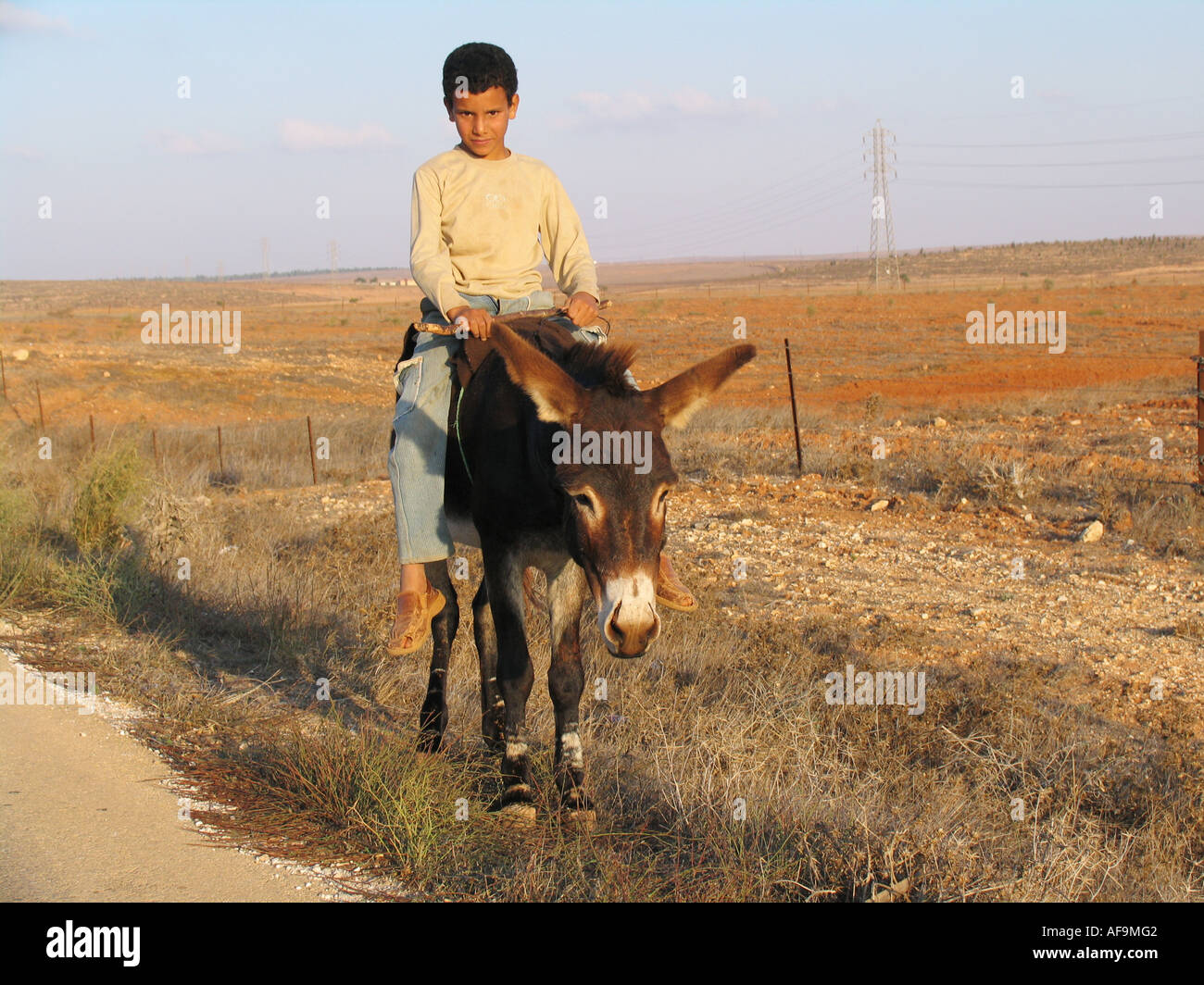 Pastorello su Donkey nella steppa vicino a Bengasi, Libia Foto Stock