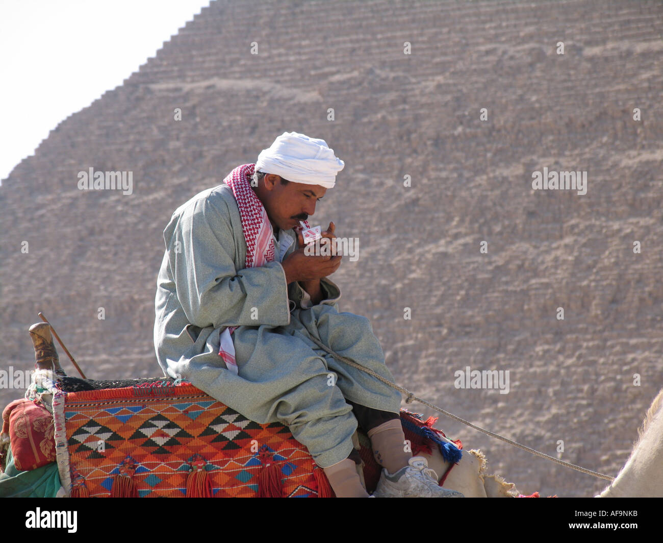 Egyptian uomo seduto su un cammello di fronte di una Piramide di Giza, accendere una sigaretta, Egitto, Kairo, Giza, Gizeh, Giseh Foto Stock