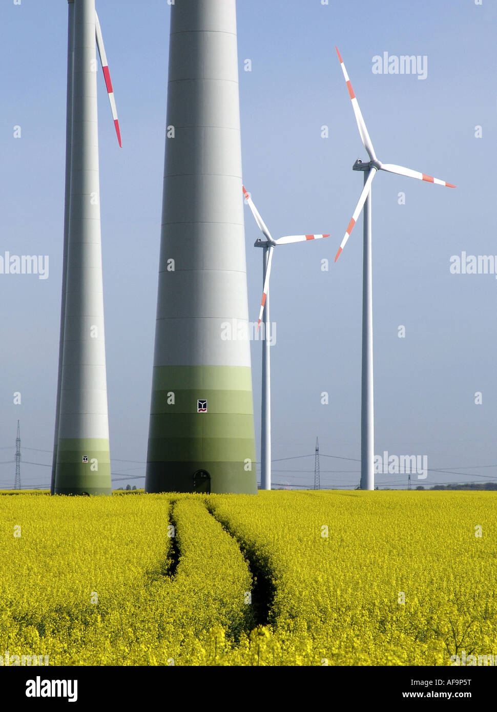 Mulini a vento nel campo di colza, Germania, il Land Brandeburgo Foto Stock