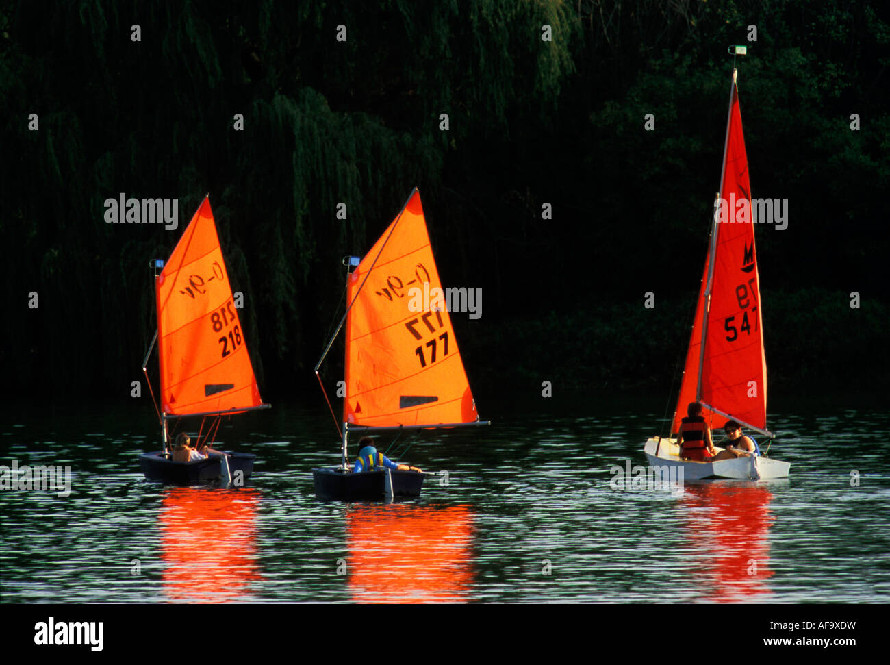 Tre barche a vela su una diga con arancio brillante vele riflettendo in acqua Sud Africa Foto Stock