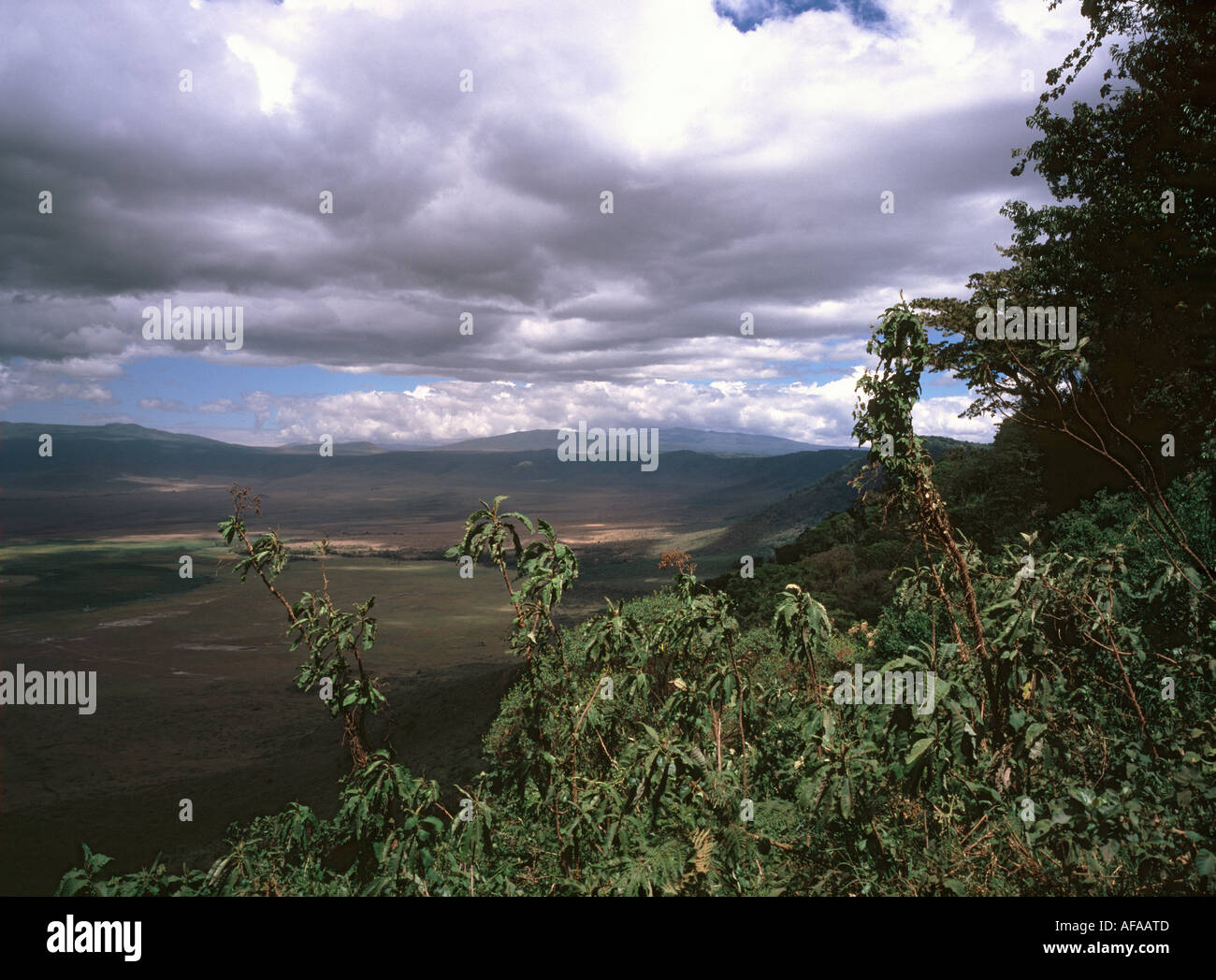 La Tanzania, il cratere di Ngorongoro, vista da RIM Foto Stock