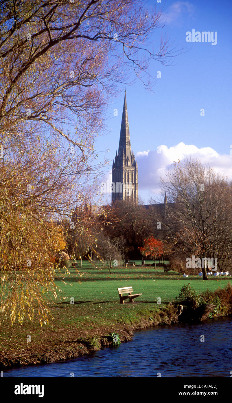 Autunno vista della Cattedrale di Salisbury e il fiume Avon dall'acqua Prati Foto Stock