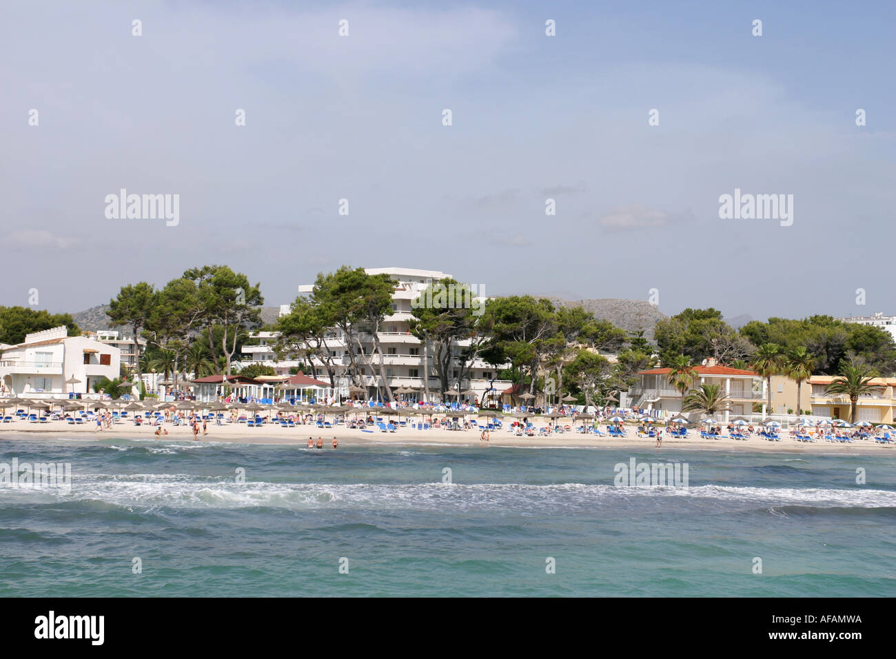 La spiaggia di Alcudia Mallorca Spagna Spain Foto Stock